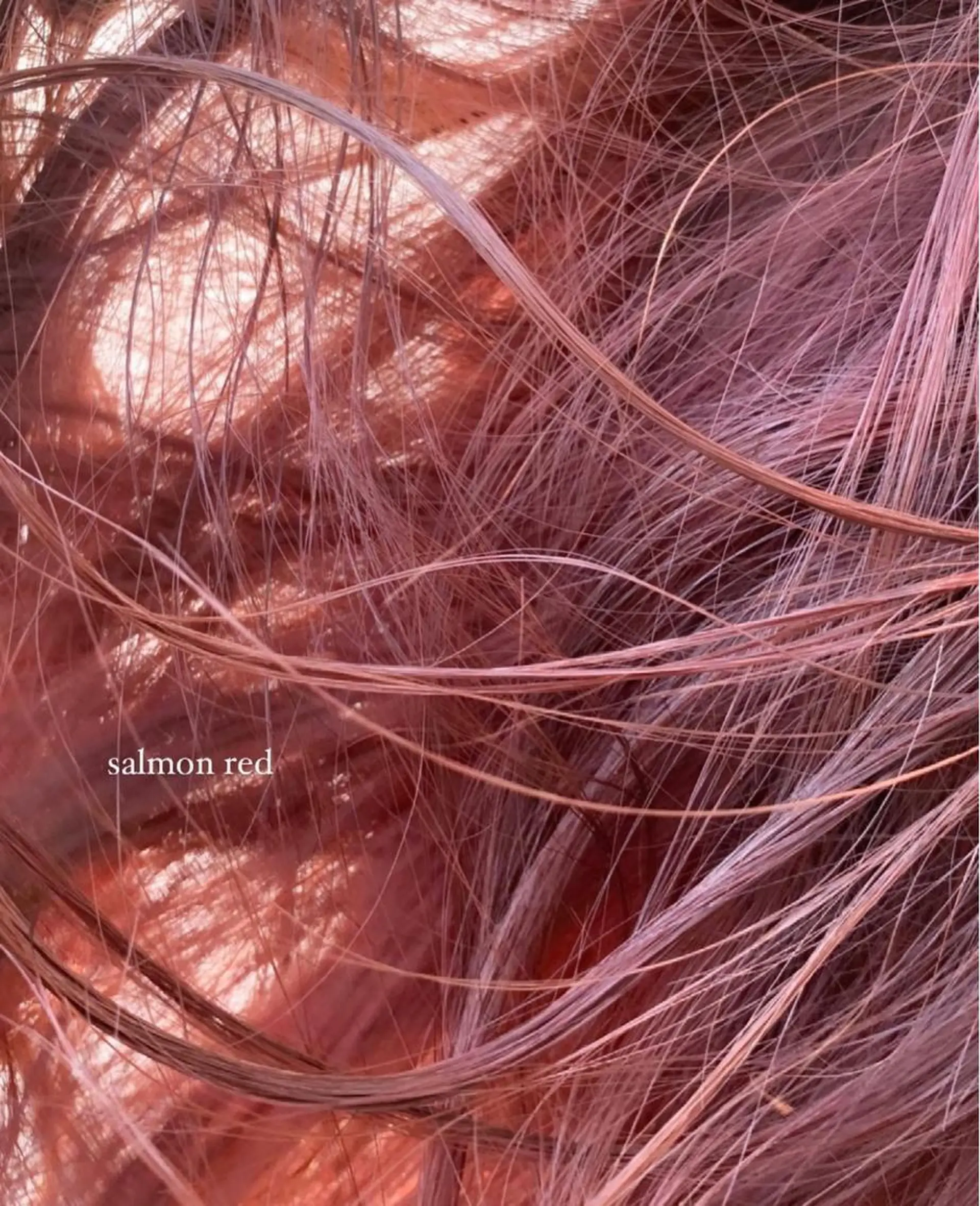 セミロング カラー haco＋所属・圧倒的デザイン力 店長🎨RENAのヘアスタイル