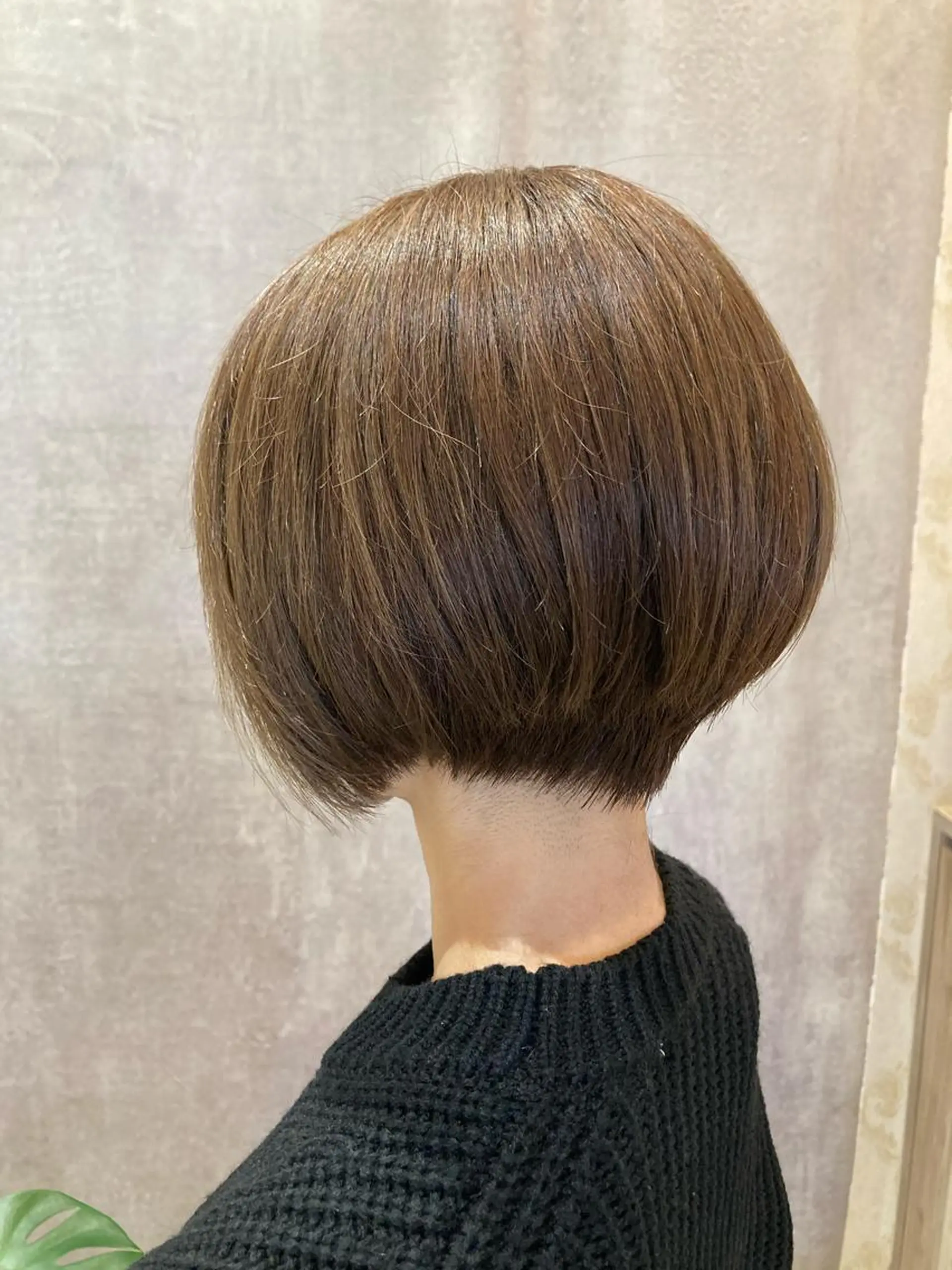 ショート 坂上 晴日のヘアスタイル