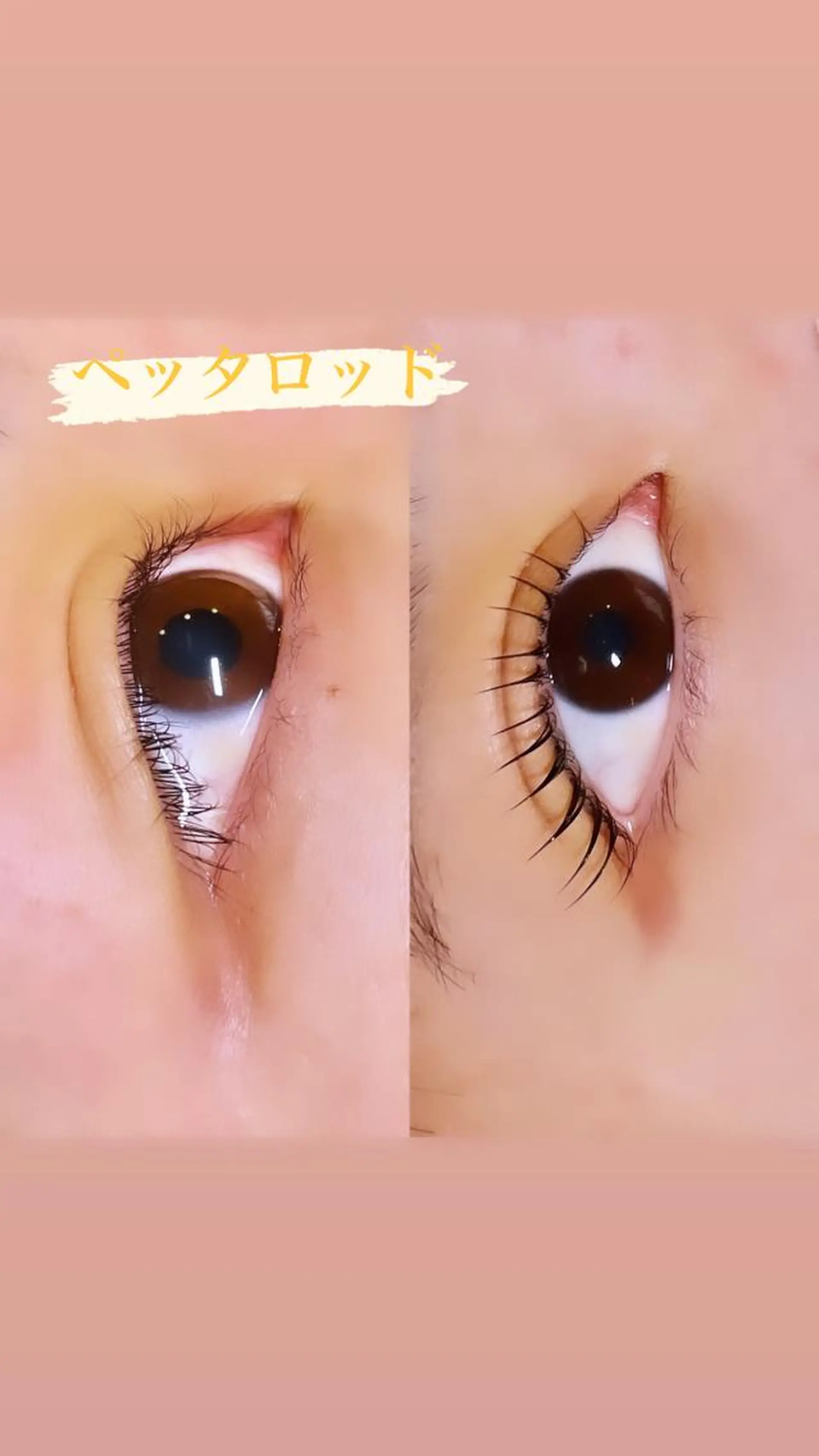 マツエク・マツパ ロニセラ アイラッシュのマツエク・マツパデザイン