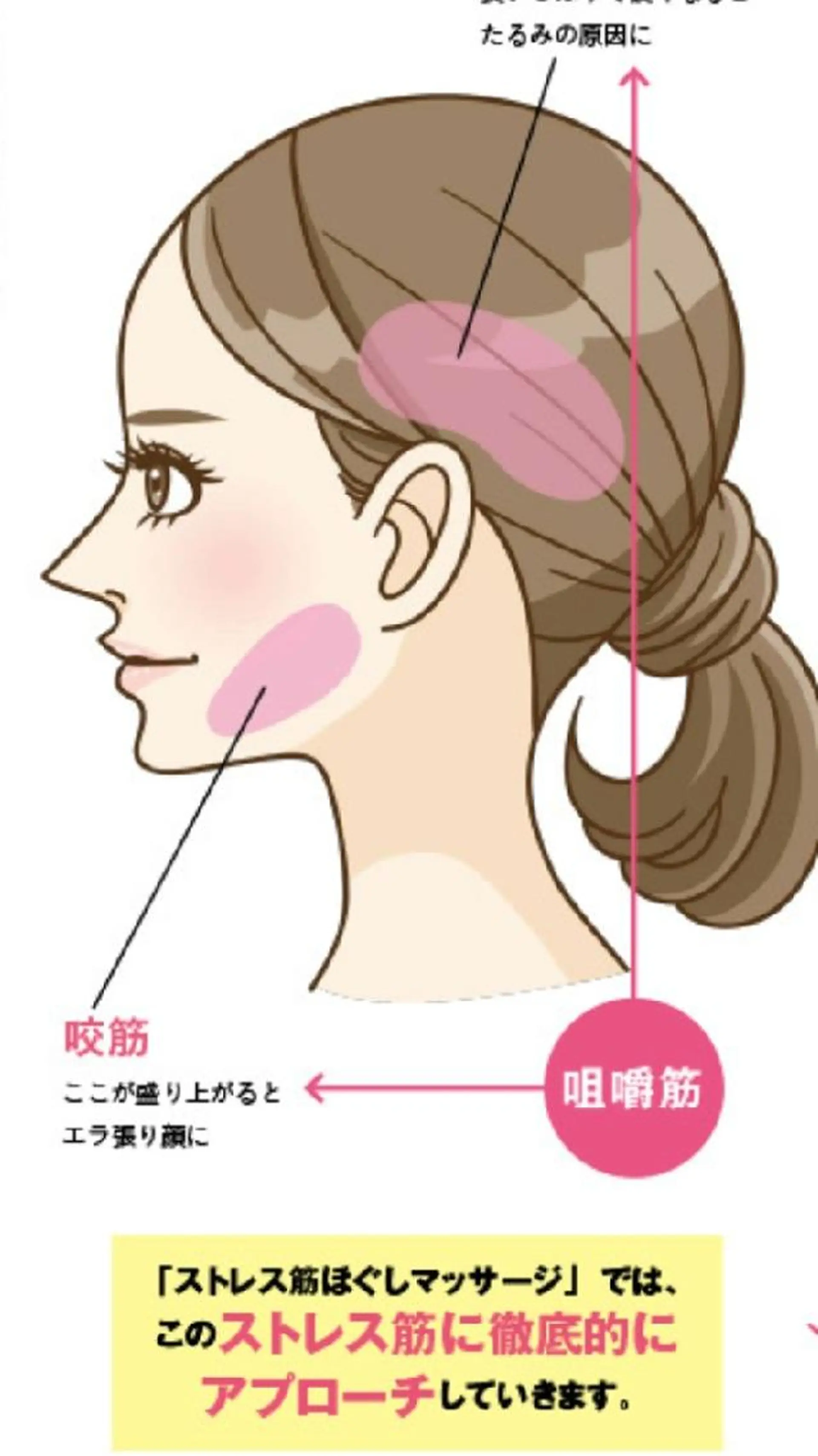 姿勢＆お肌美容カイロ のあんのエステ・リラクイメージ