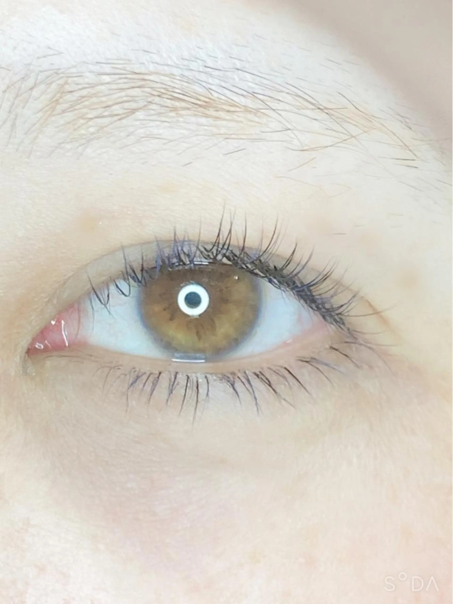 マツエク・マツパ フラットラッシュ MT所属・M Tのマツエク・マツパデザイン