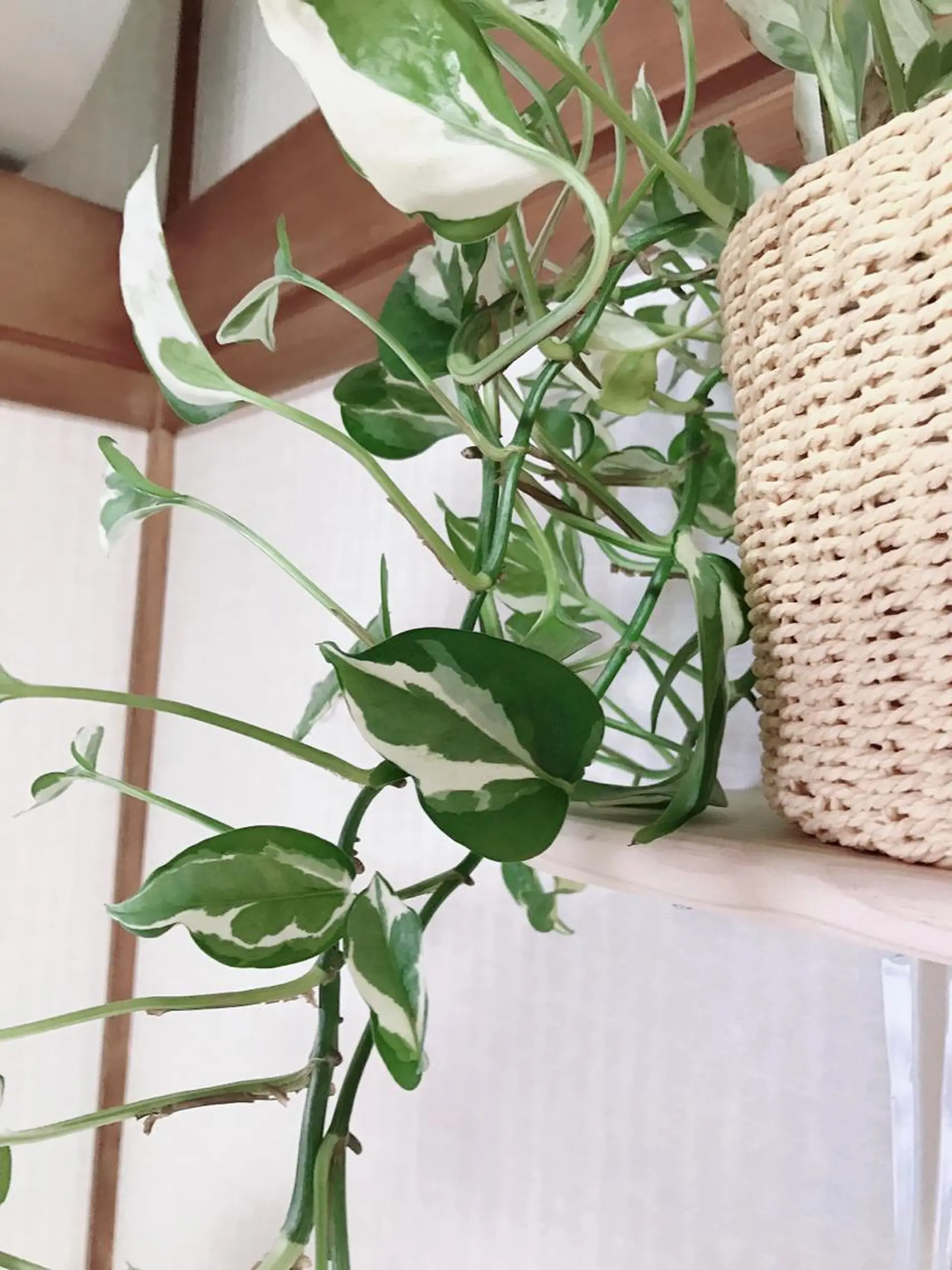 miraie 南畑未来のエステ・リラクイメージ