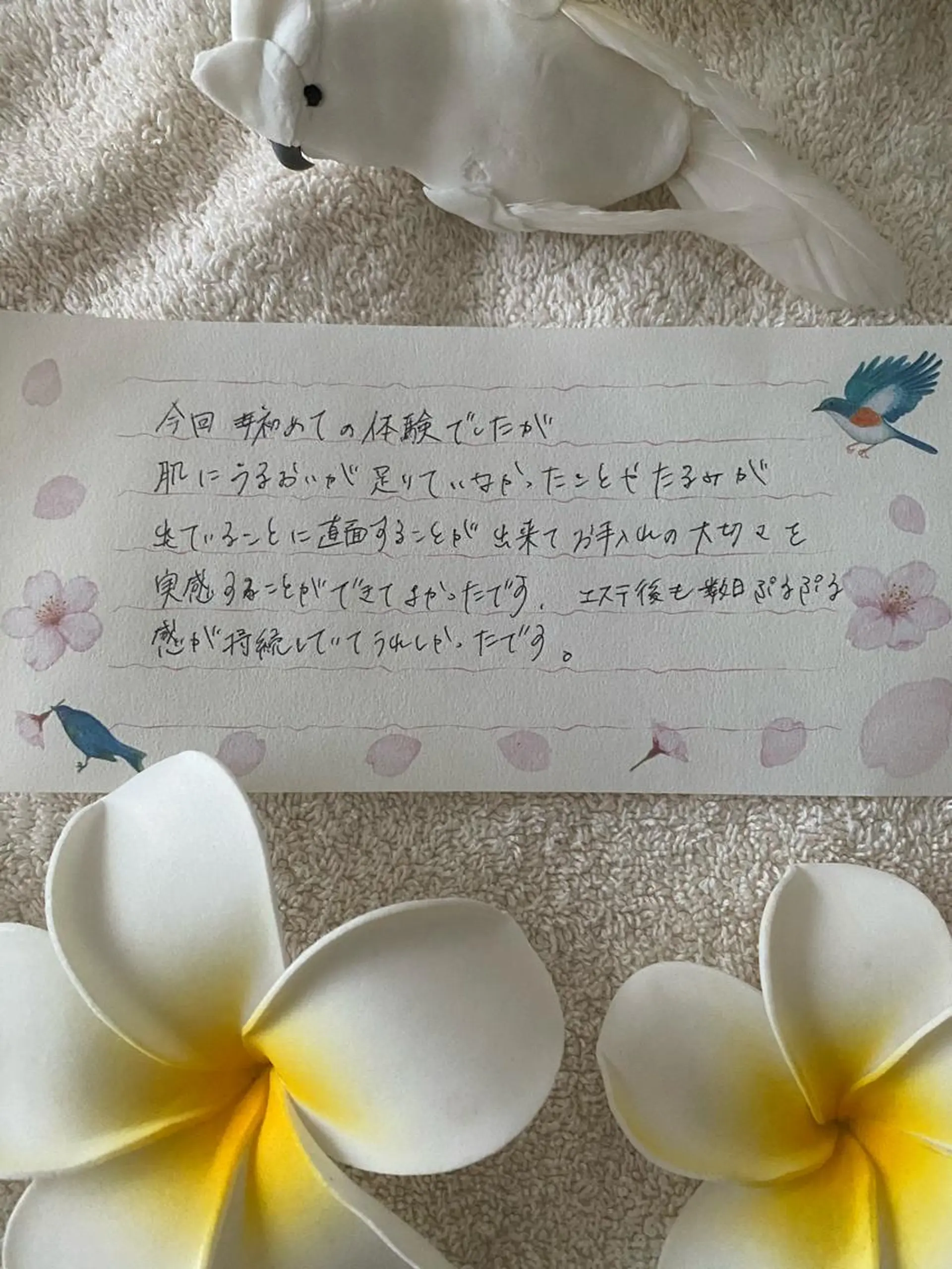 R E O T I A R A（レオティアラ）所属・高屋 昌子のその他イメージ