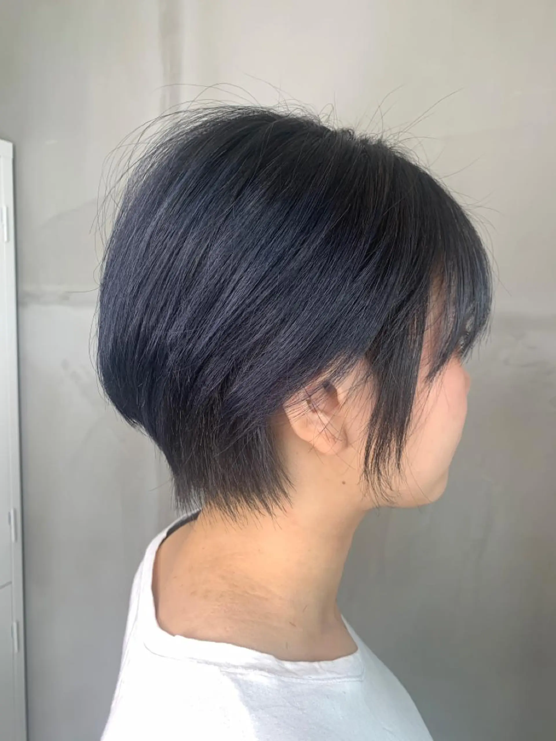 ショート 河野 圭三のヘアスタイル