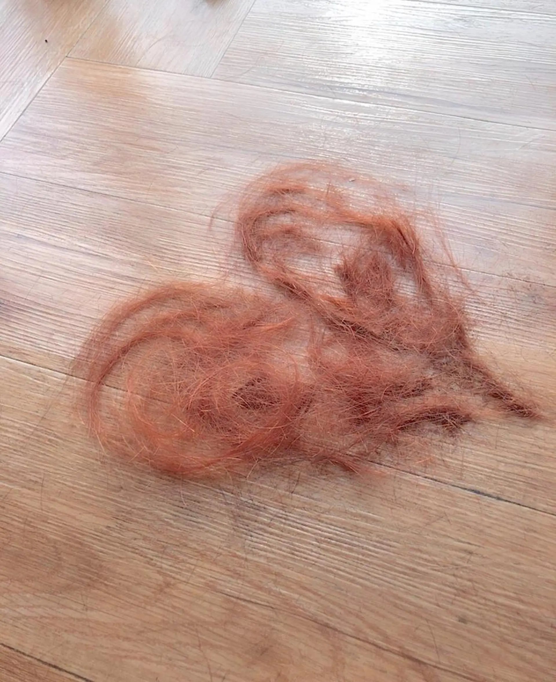 セミロング カラー ヘアアレンジ ヘアカラー トリートメント NANA／trend style🕊🍑のヘアスタイル