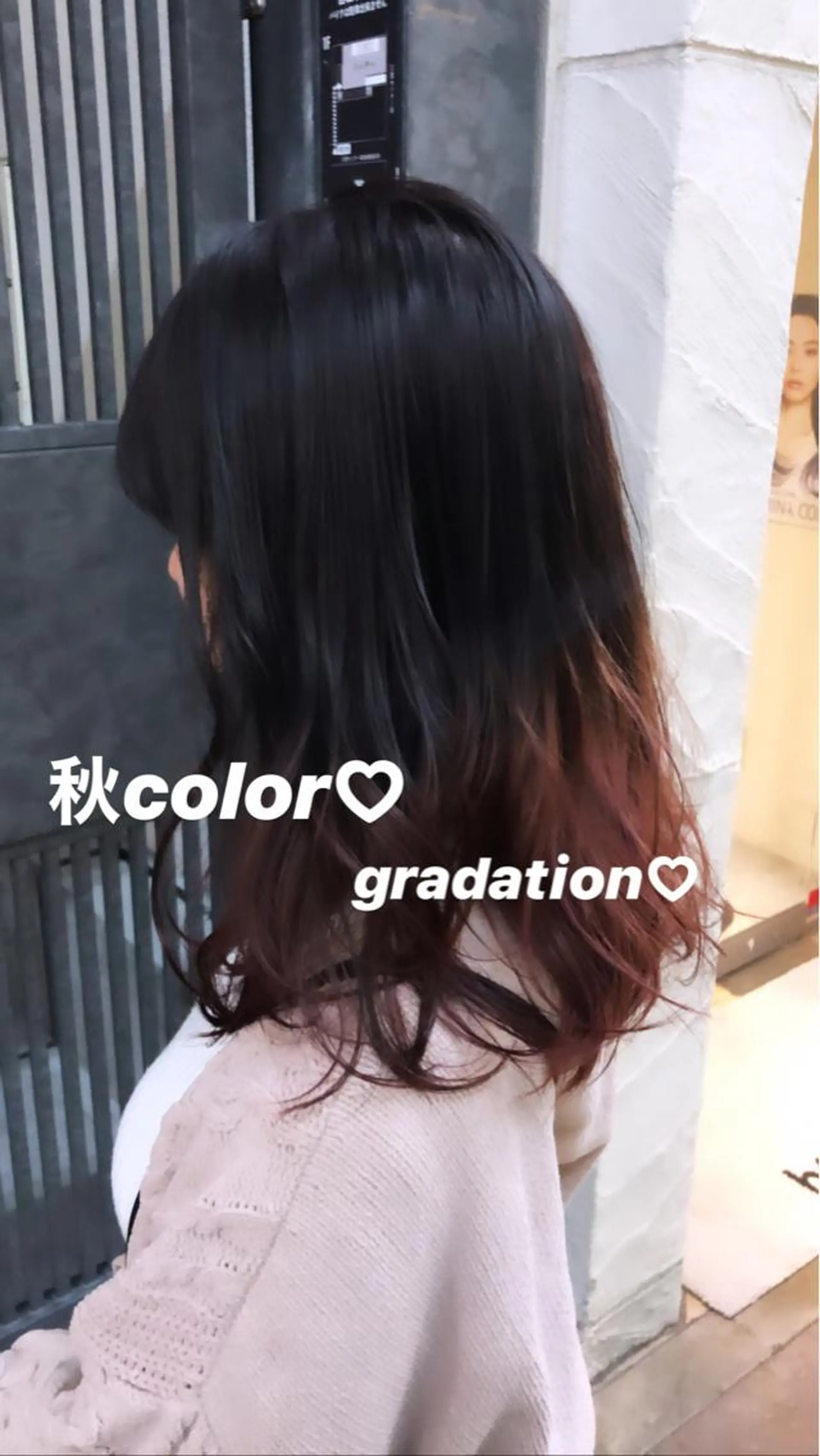 セミロング カラー ウルフカット／吉村 桃子のヘアスタイル