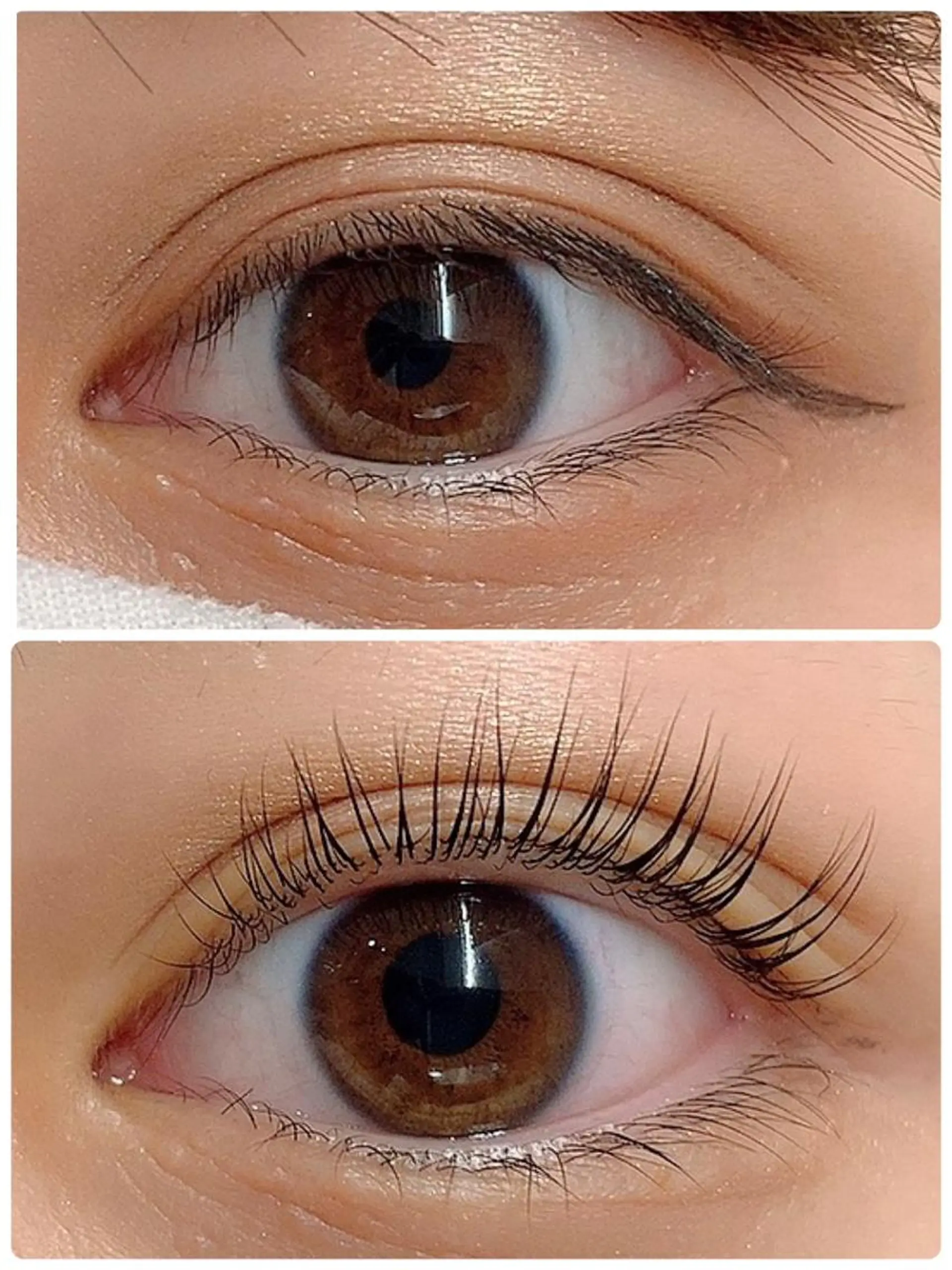 マツエク・マツパ パリジェンヌラッシュリフト プラスアイ 上野駅前店のマツエク・マツパデザイン