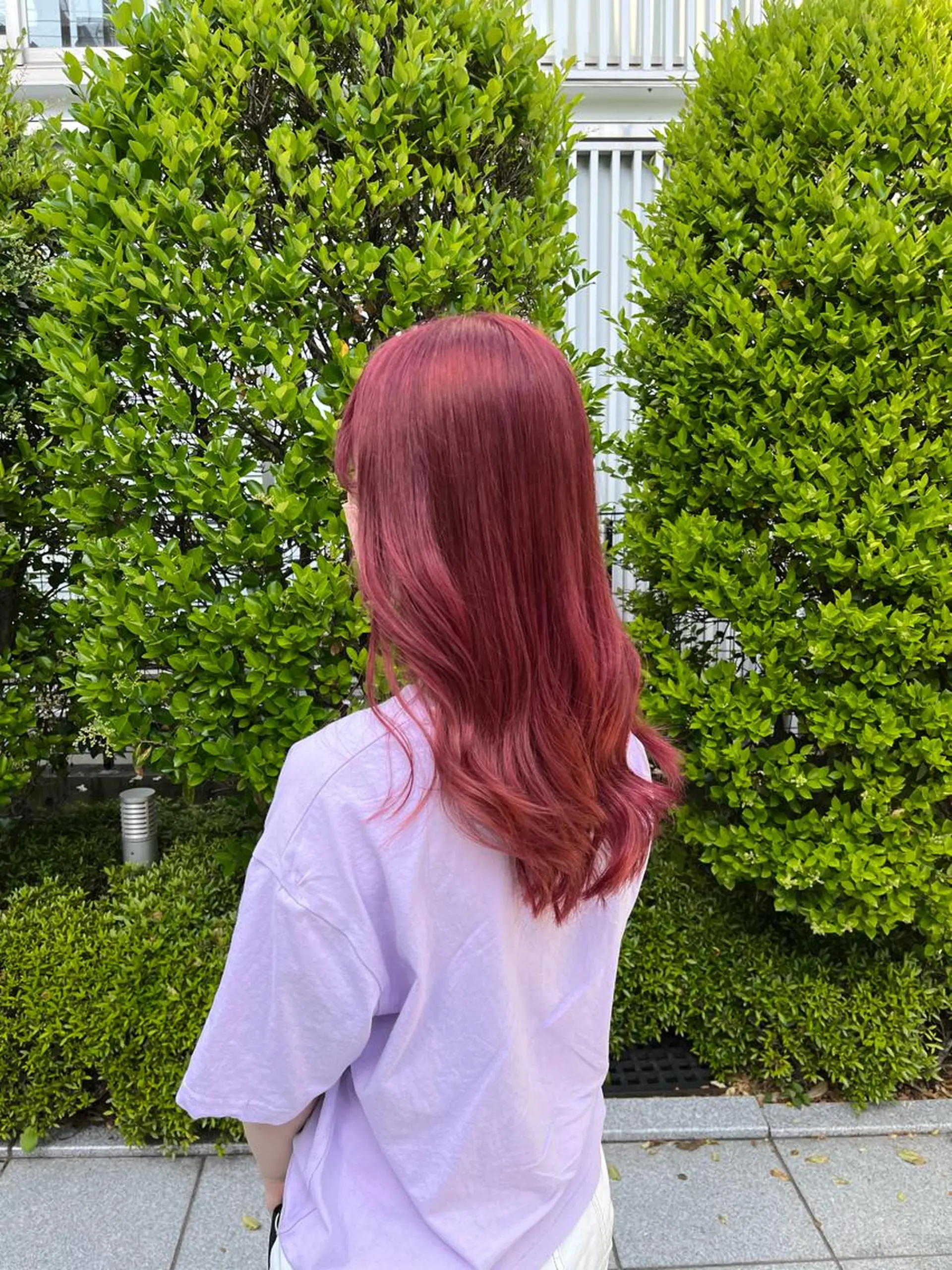 セミロング カラー ヘアアレンジ ヘアカラー トリートメント ヘアセット 🩶【推しハイトーン 】yuzu🩶のヘアスタイル