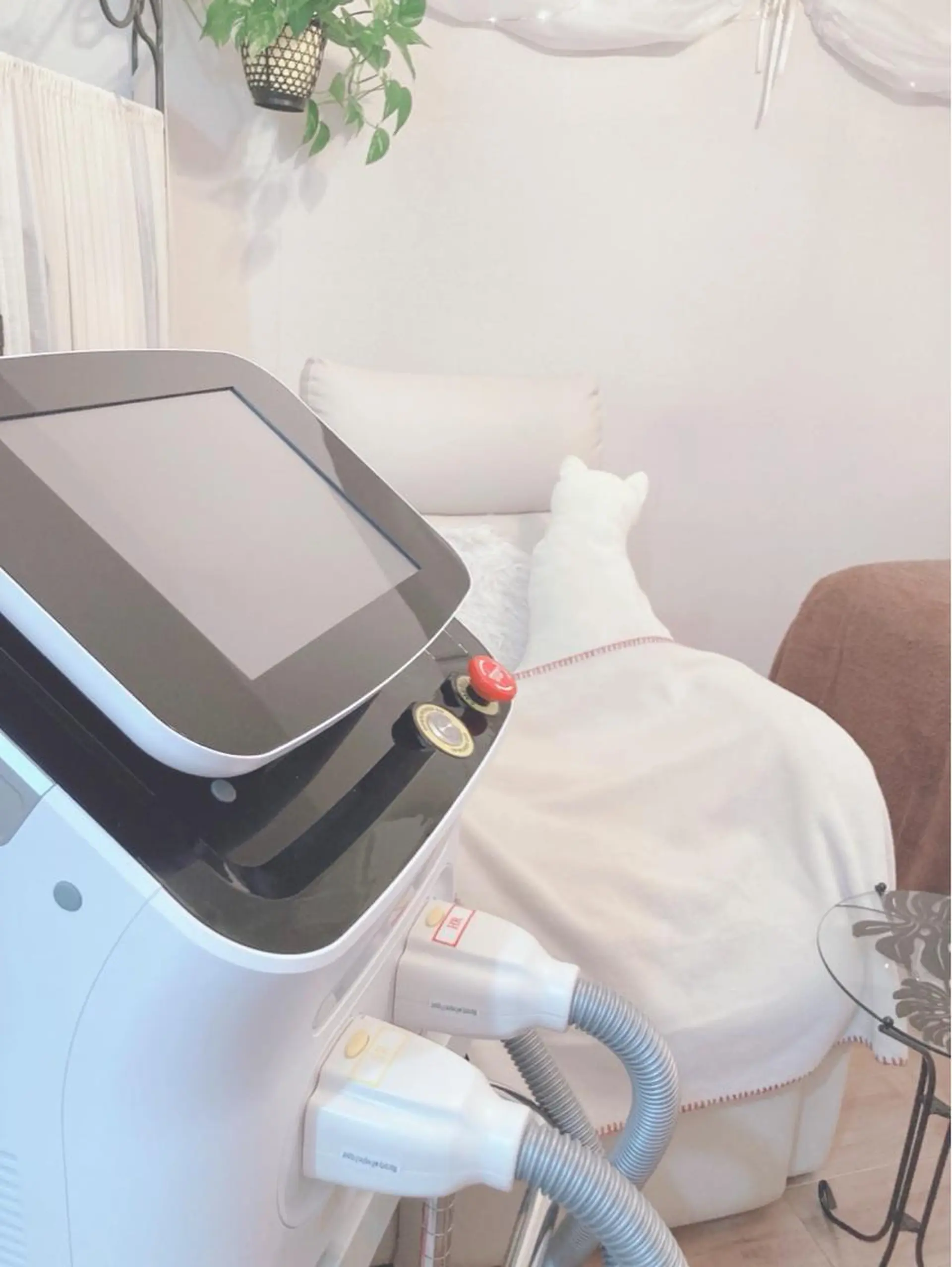 ロング カラー パーマ ヘアアレンジ メンズ キッズ ネイル マツエク・マツパ アイブロウ 眉毛ワックス脱毛 脱毛 脱毛&美容サロン Dr.Epiのエステ・リラクイメージ