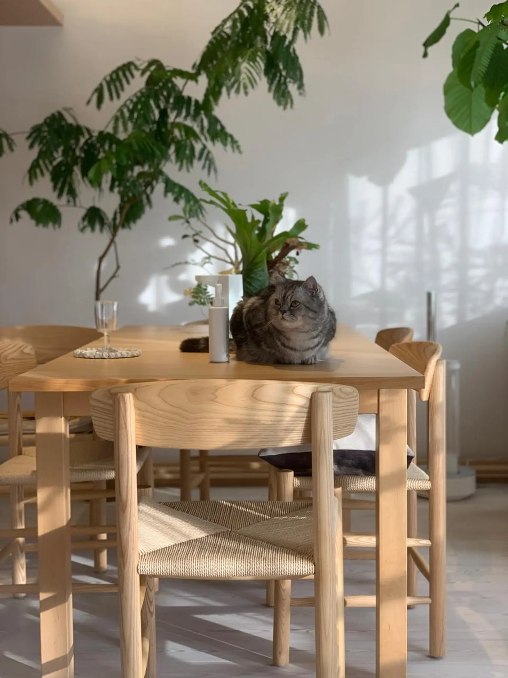 エステ リラク RENsalon大阪 体質改善リトリートのエステ・リラクイメージ