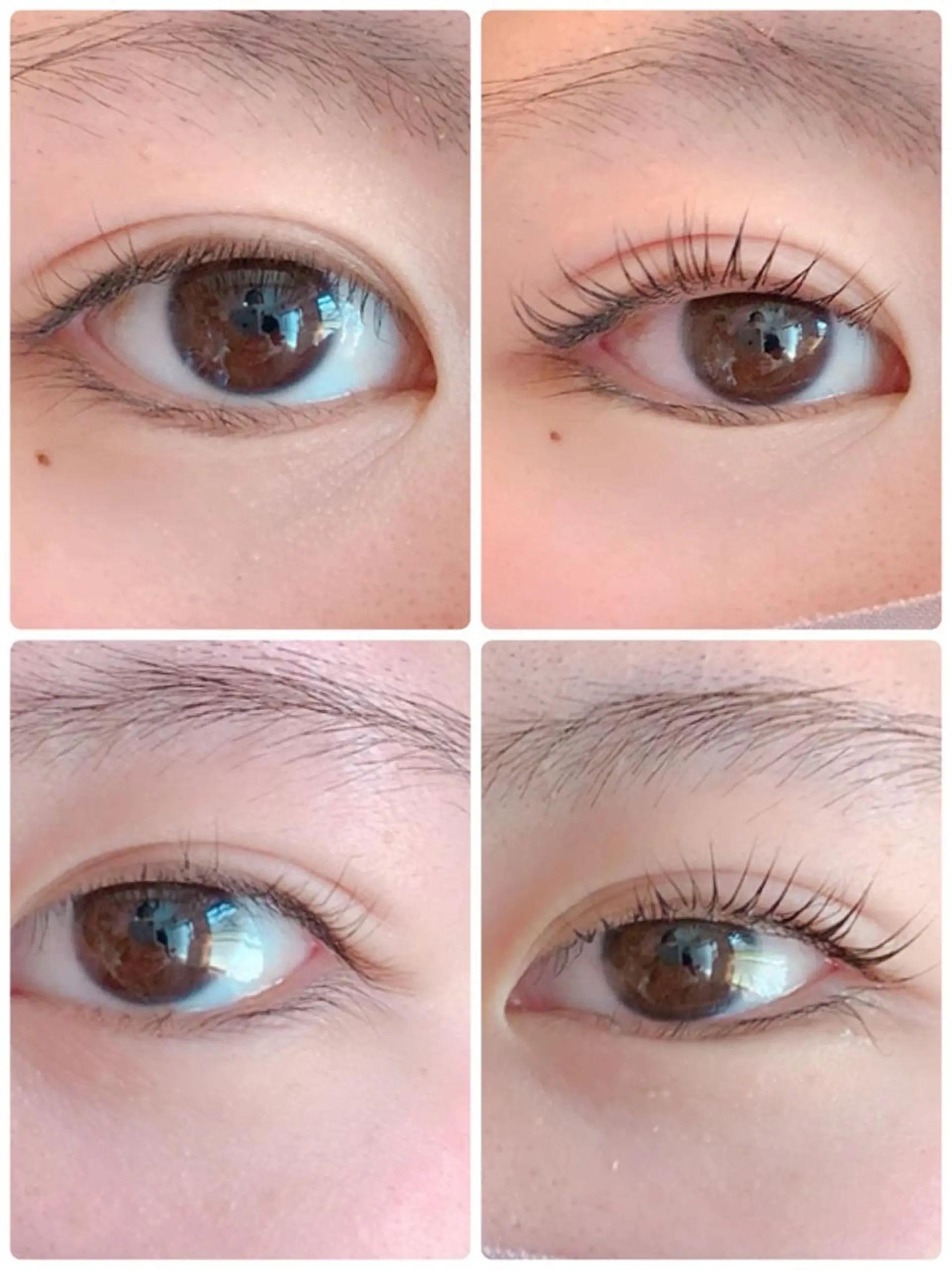 マツエク・マツパ 一重×まつ毛パーマ フェイシャルワックス 自然派エステファーノのその他イメージ