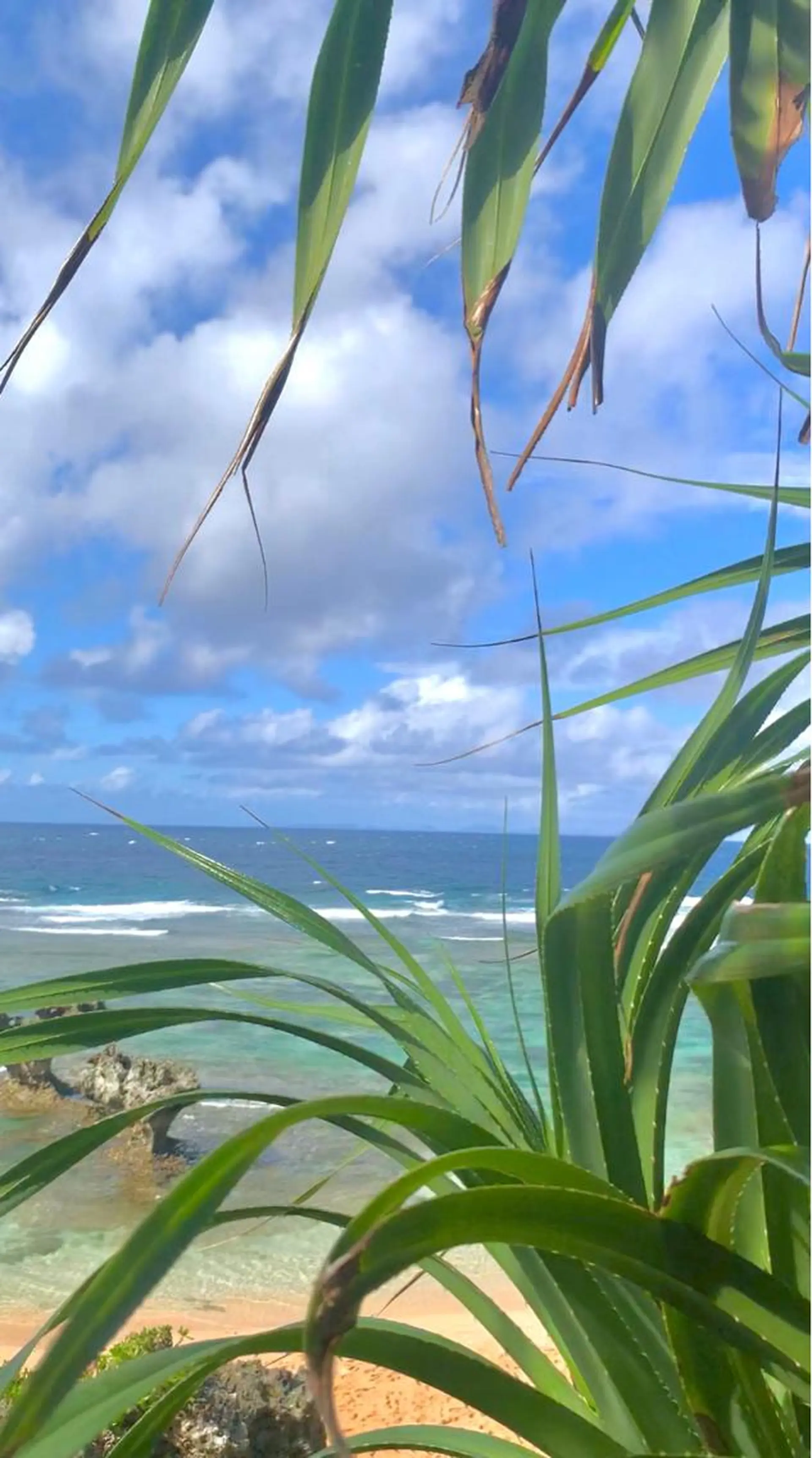 𝐘𝐎𝐒𝐇𝐈 𝐌𝐈🌞🏝のマツエク・マツパデザイン