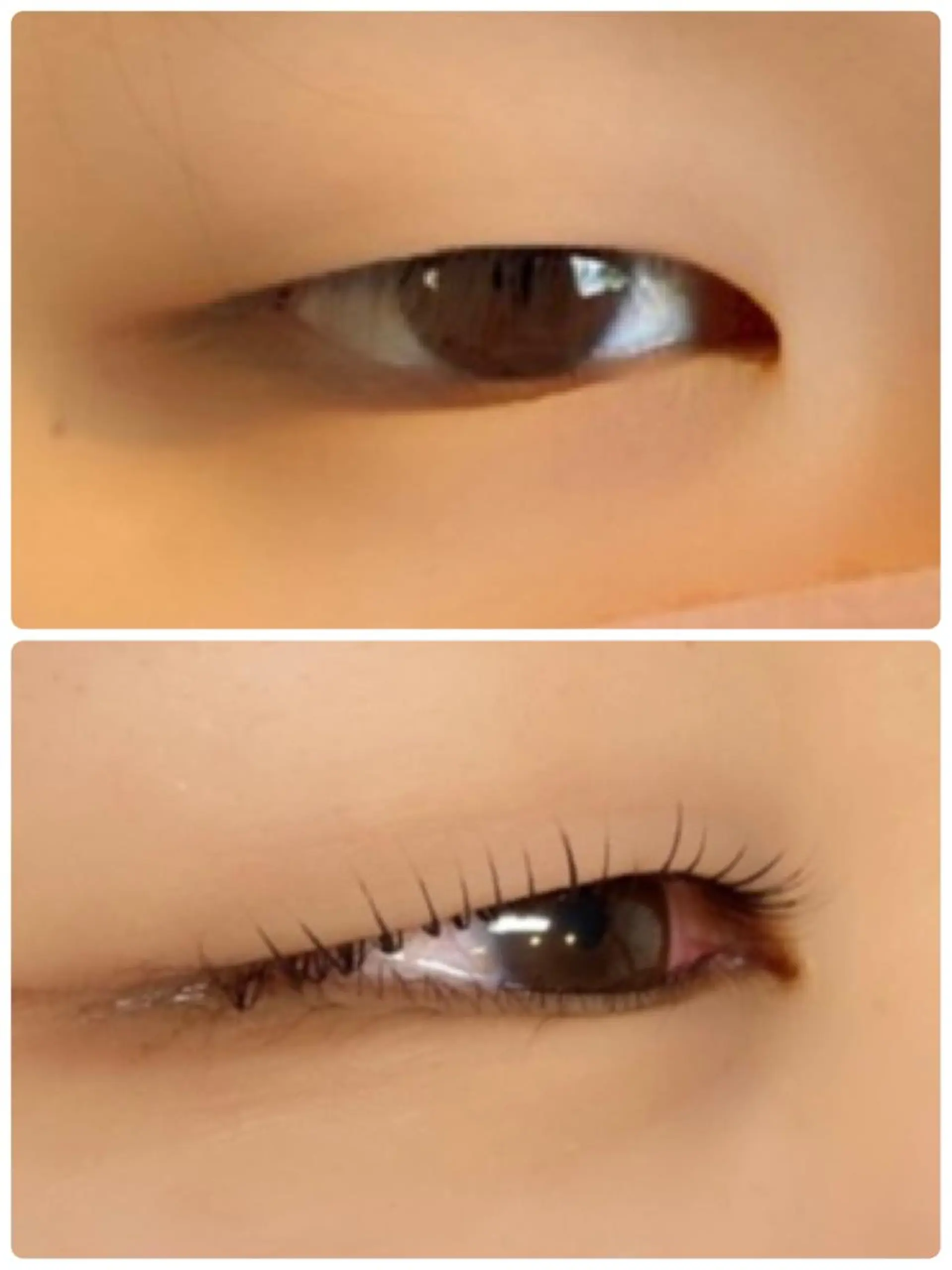 マツエク・マツパ 一重×まつ毛パーマ 中野 紹江のヘアスタイル