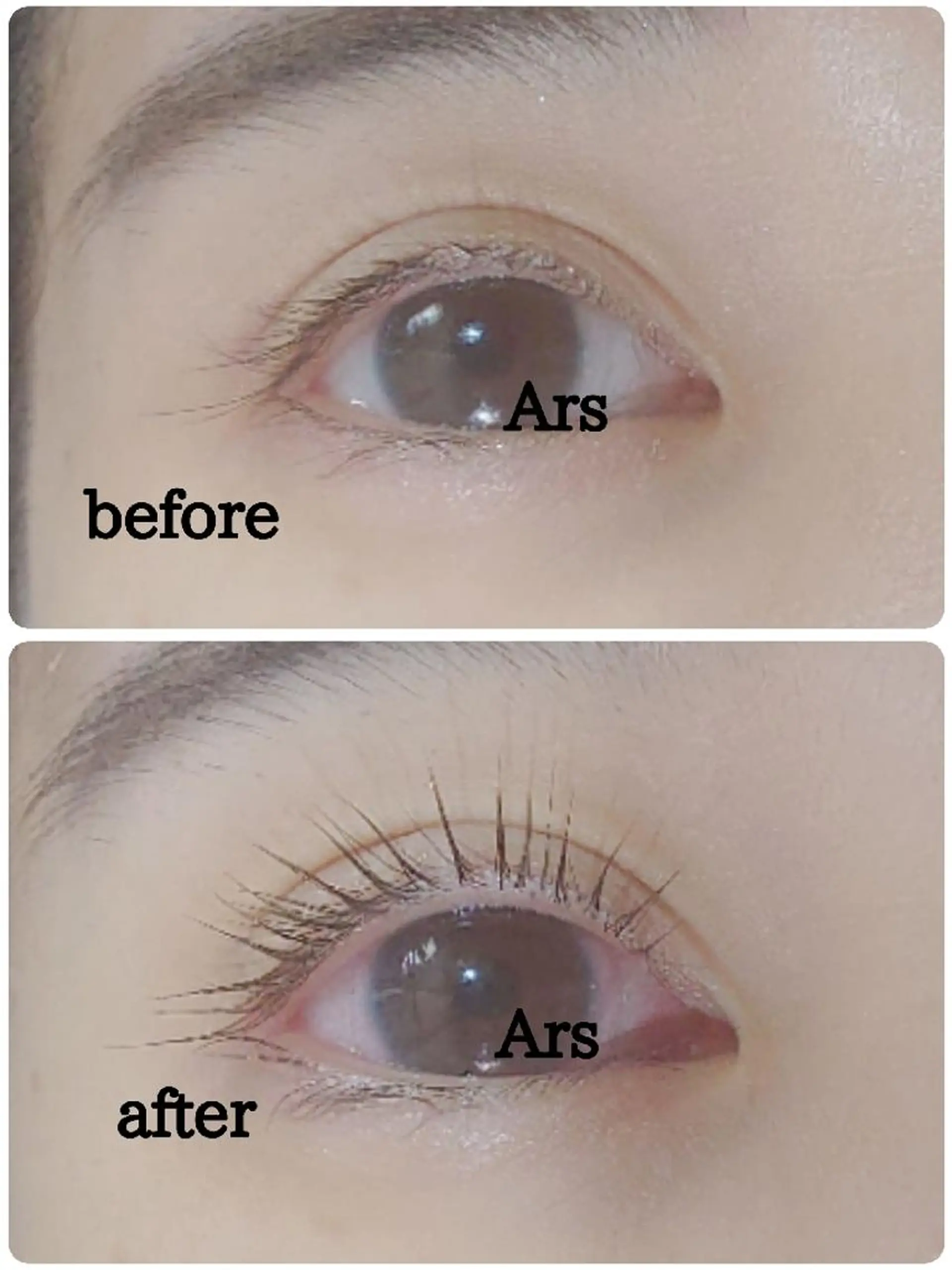 マツエク・マツパ アイリッドアップパーマ Ars  (ｱﾙｽ)所属・Ars      (ｱﾙｽ)のマツエク・マツパデザイン