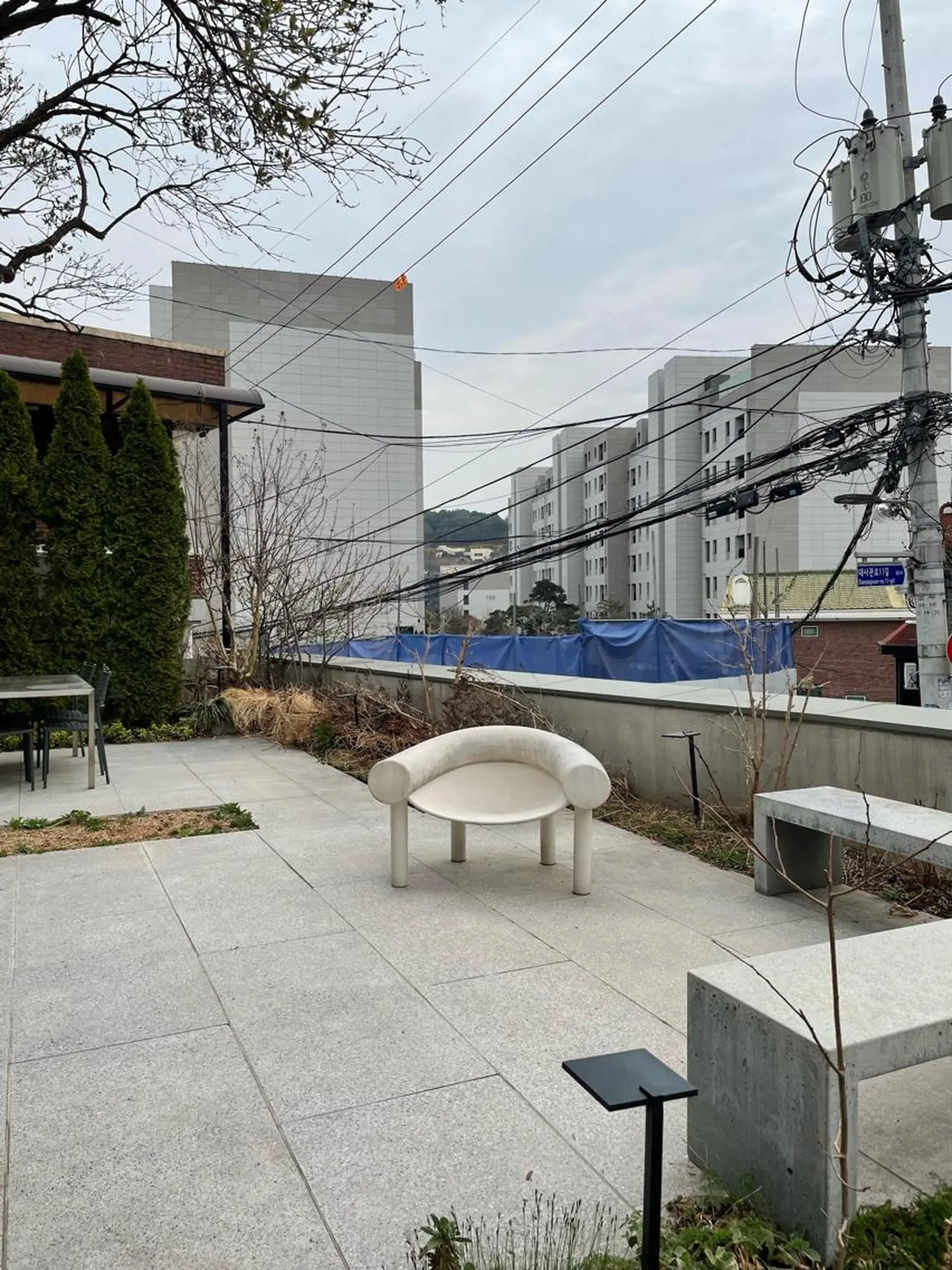 ミディアム カラー パーマ ヘアアレンジ メンズ 🦖ノザワ リンカ🦖のヘアスタイル