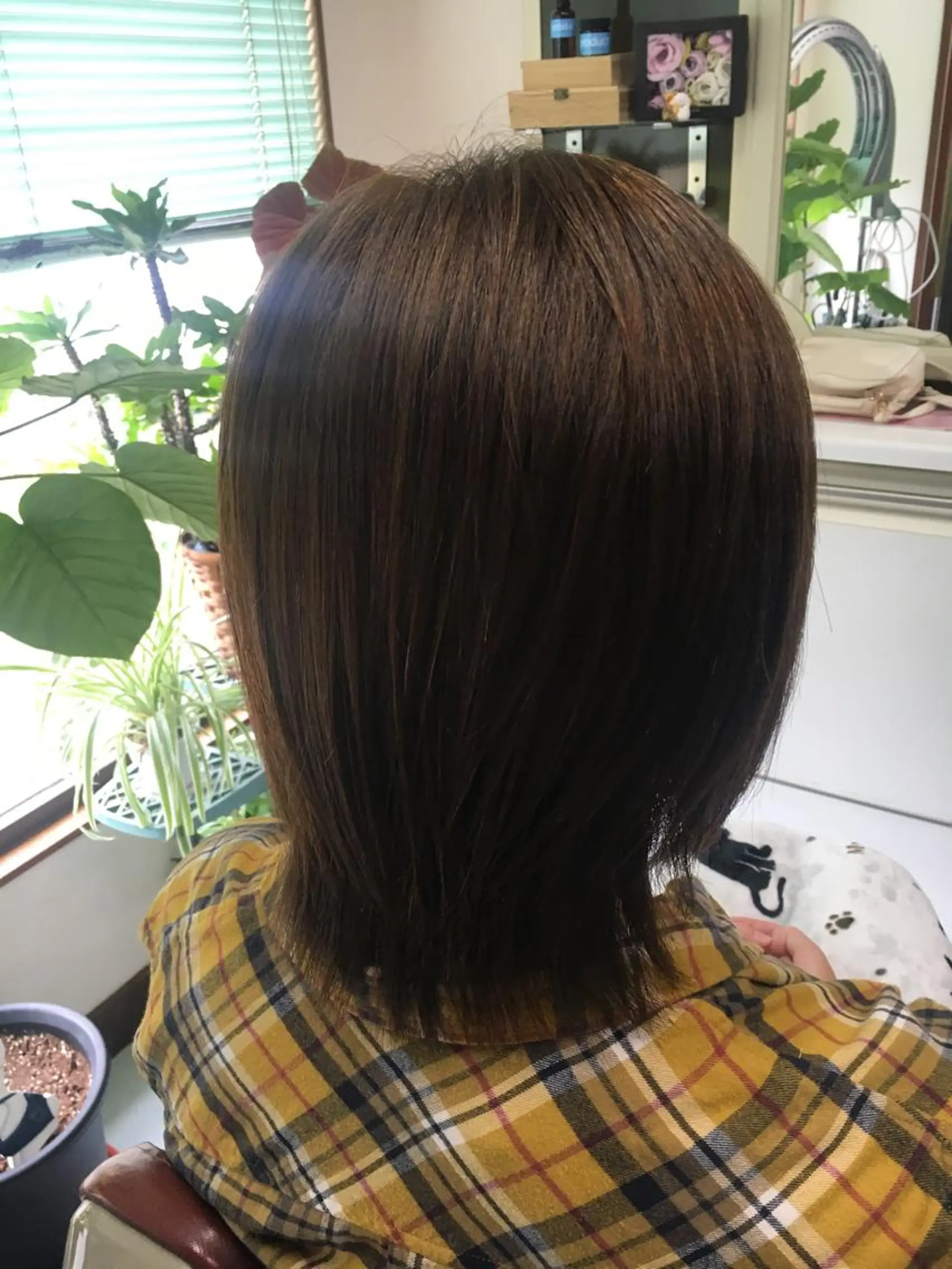 ショート カラー ストウ ナナエのヘアスタイル
