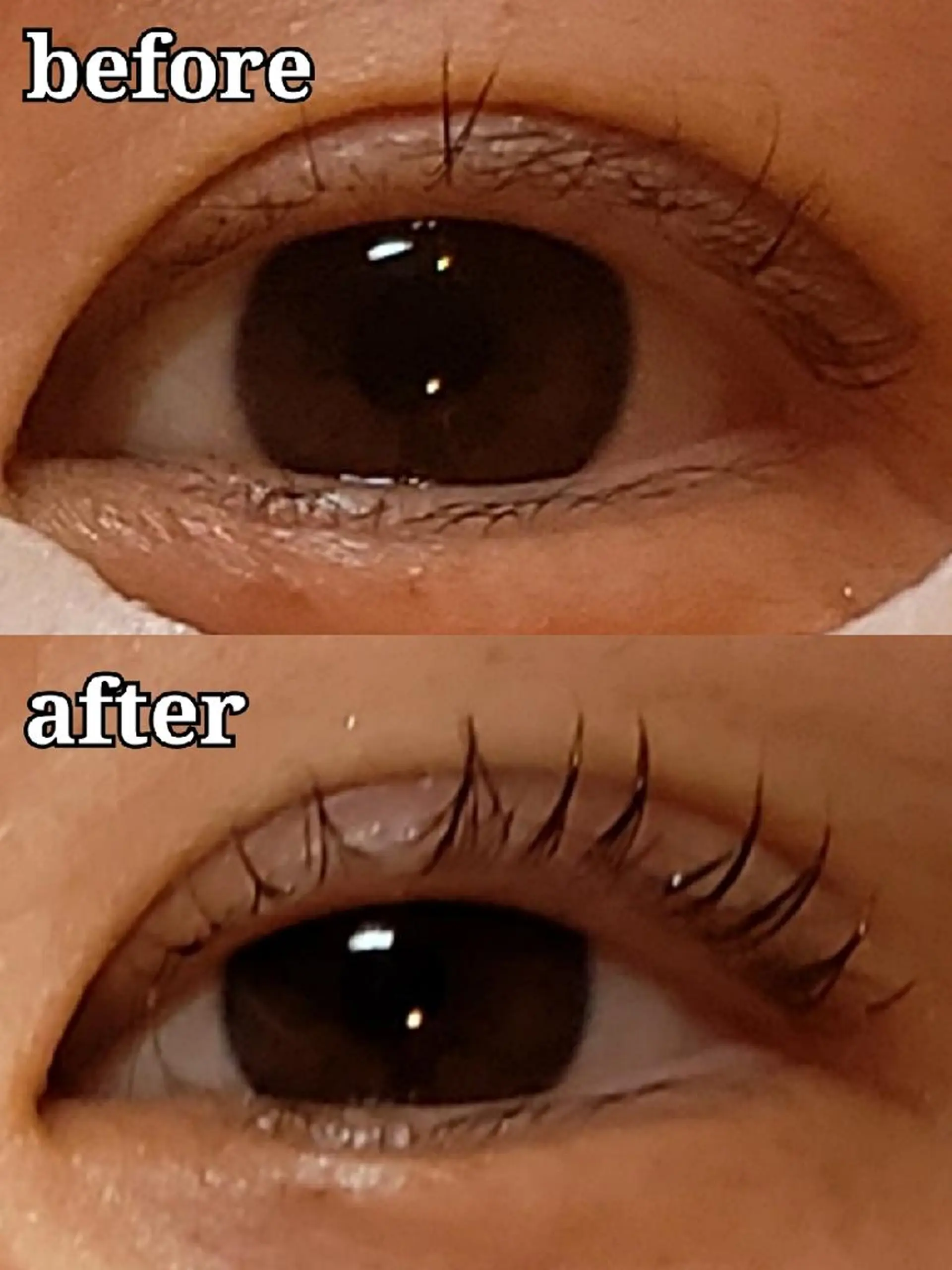 マツエク・マツパ パリジェンヌラッシュリフト マツパ トータルビューティー  バルフィット所属・冨永 小絵のマツエク・マツパデザイン