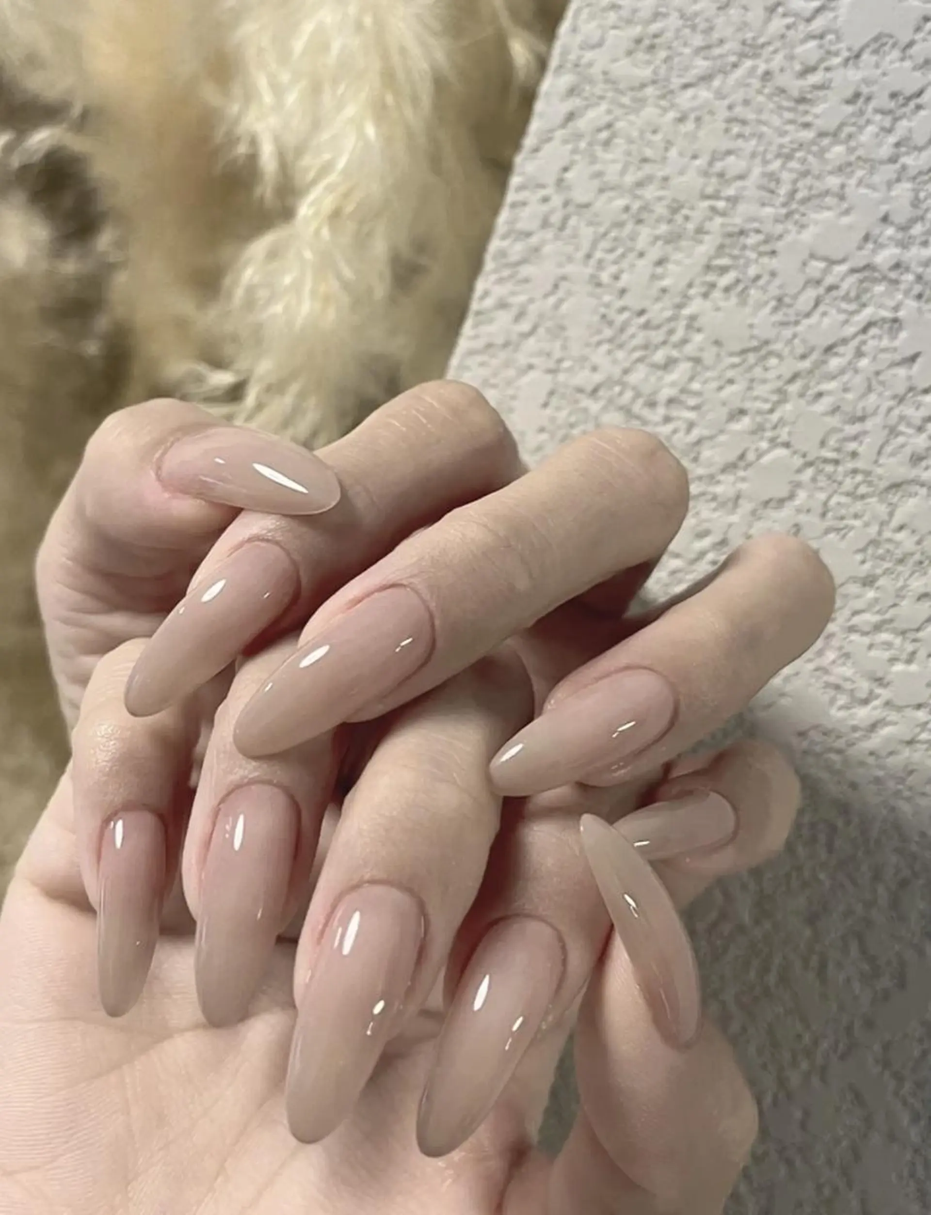 ネイル AB マツエクネイルサロンのネイルデザイン