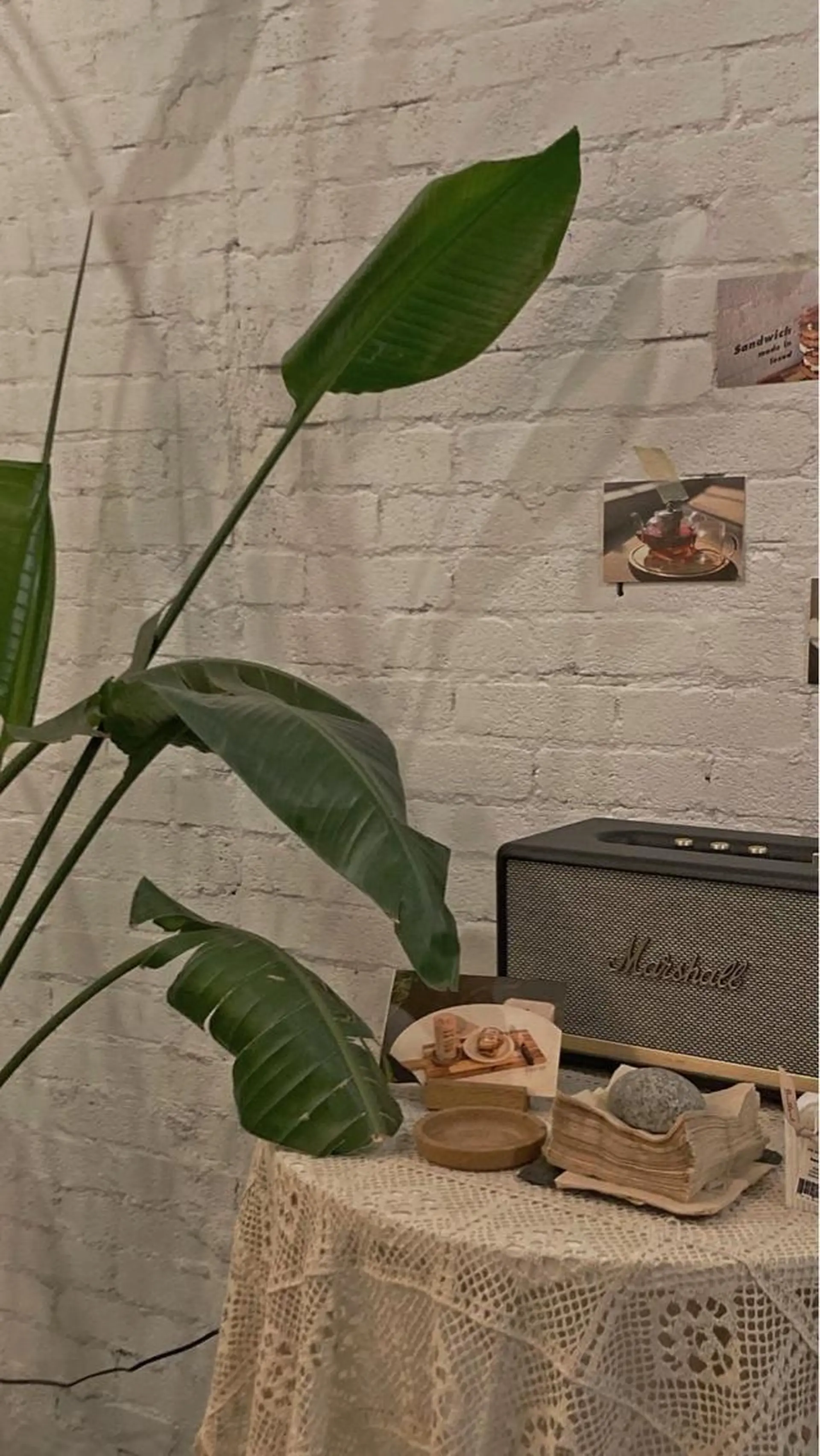 ∴Sanae. ∴ トータルビューティーのネイルデザイン