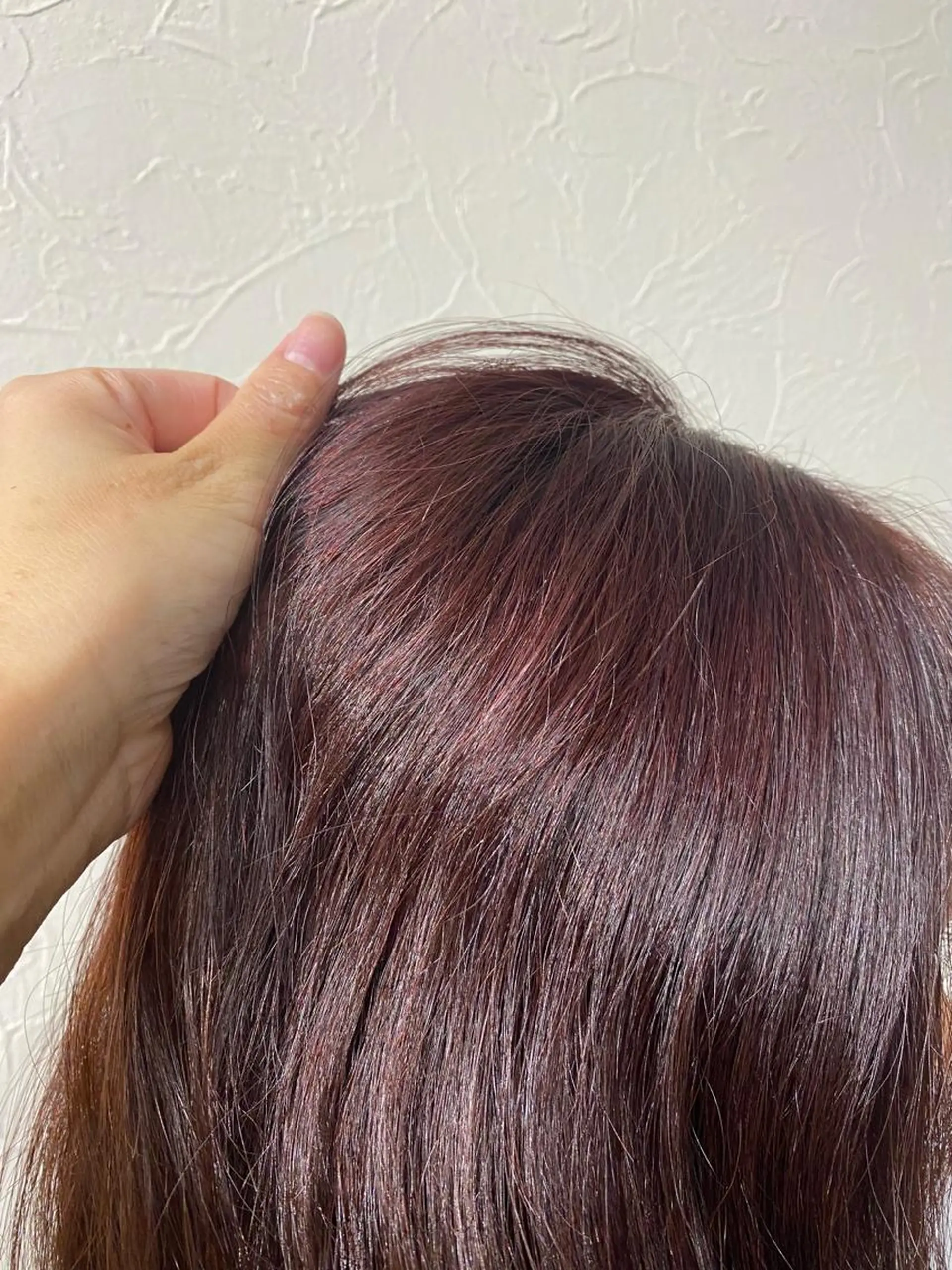 カラー les baladins du miroir所属・🍃YURI 🍃のヘアスタイル