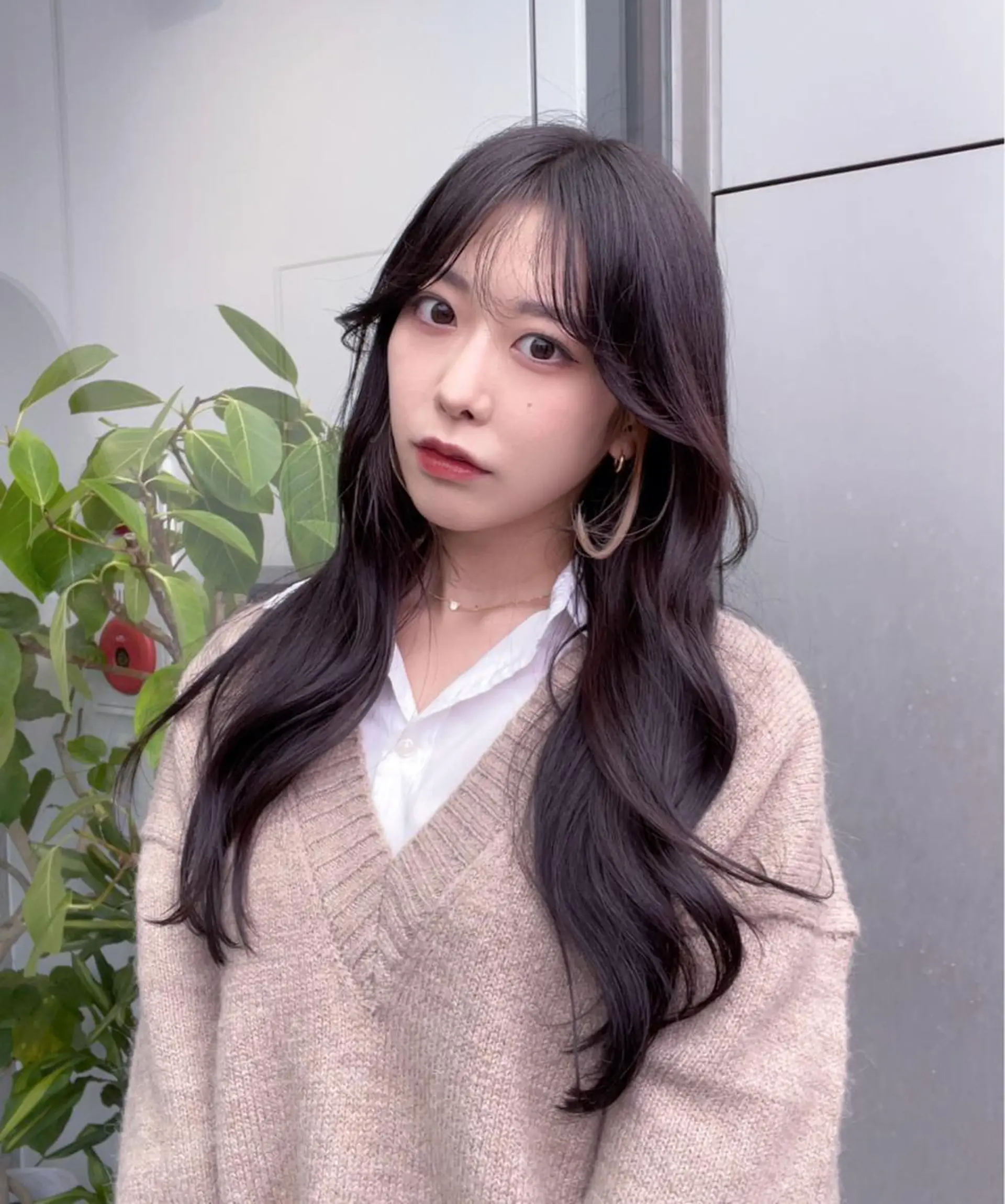 ミディアム カット ヘアカラー トリートメント 🌫️大人韓国ヘア 🌫️naoyaのヘアスタイル