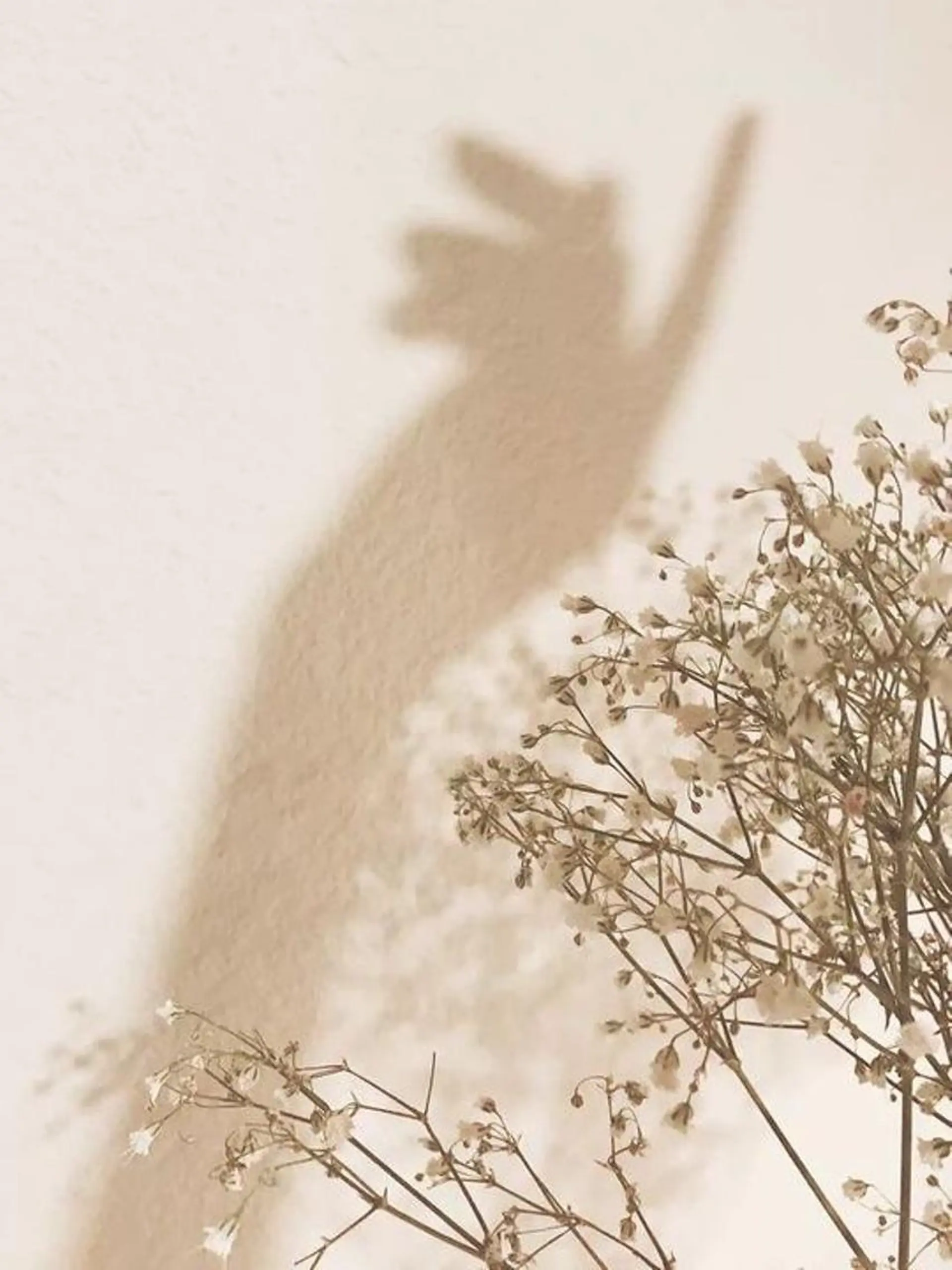 ネイル ハンドケア Lua.nail所属・🫧Lua.nail 🍒emuのネイルデザイン