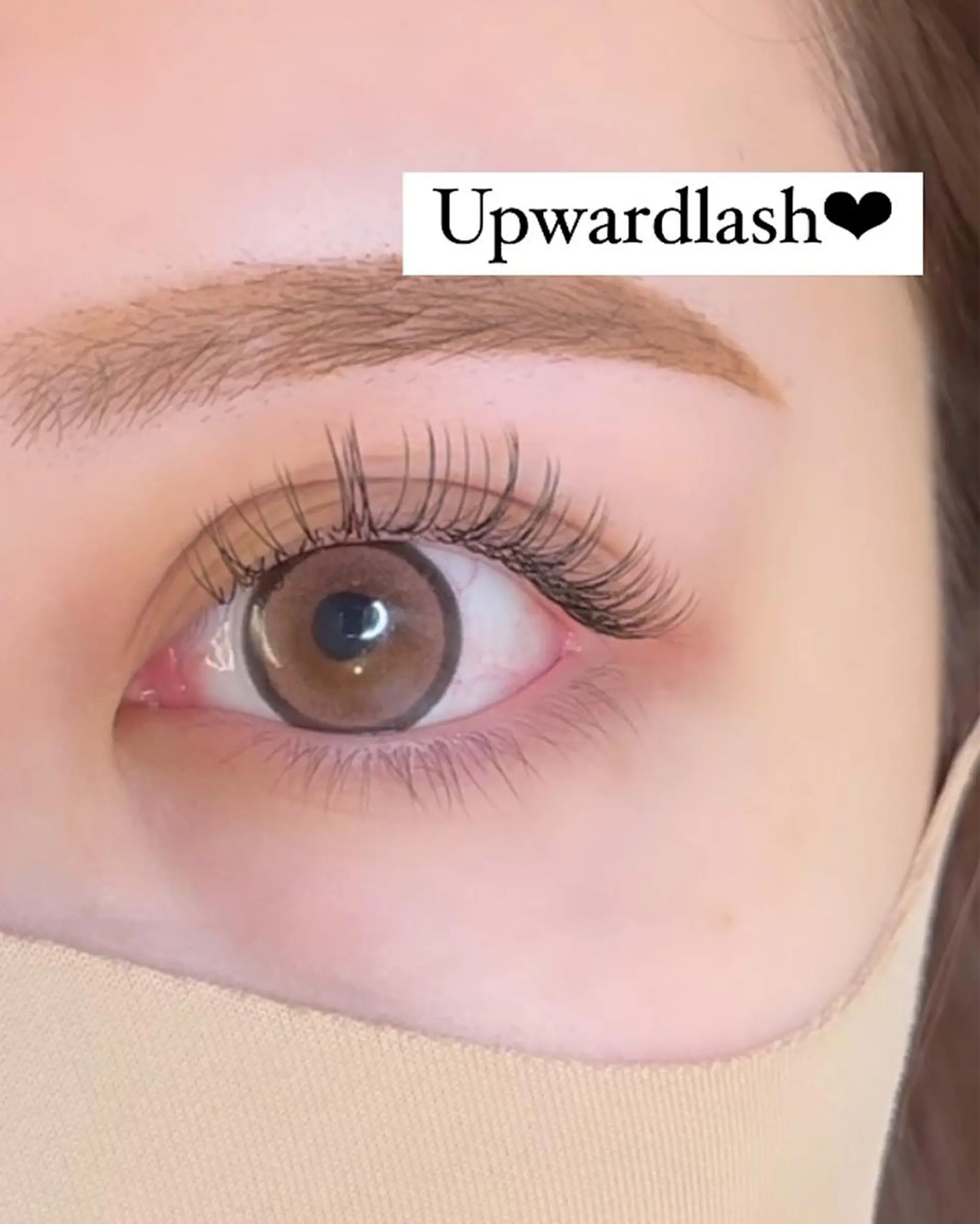 マツエク・マツパ CAMELLIA カメリアのマツエク・マツパデザイン