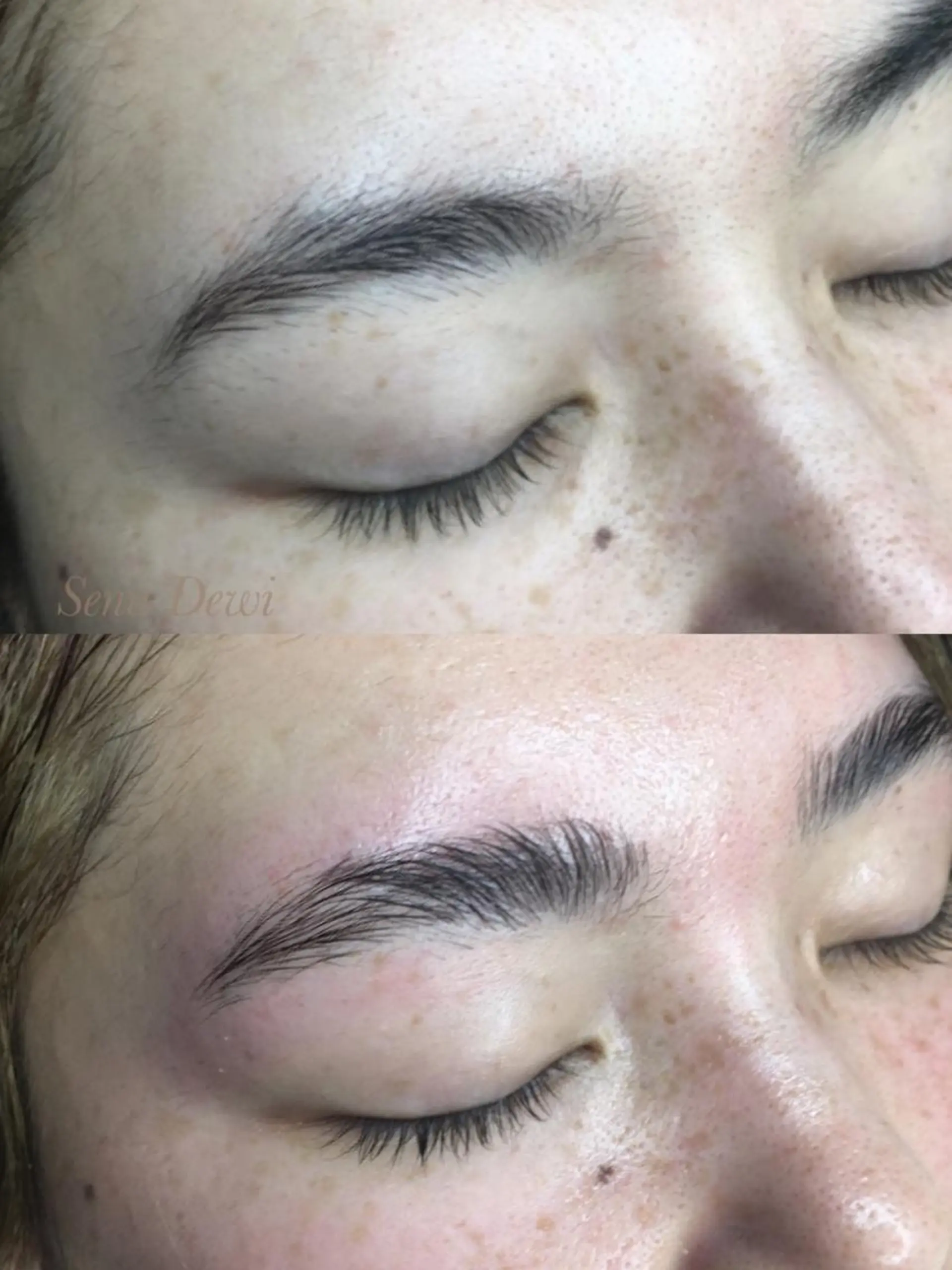 アイブロウ Sena Dewi Yukiの眉毛・アイブロウイメージ