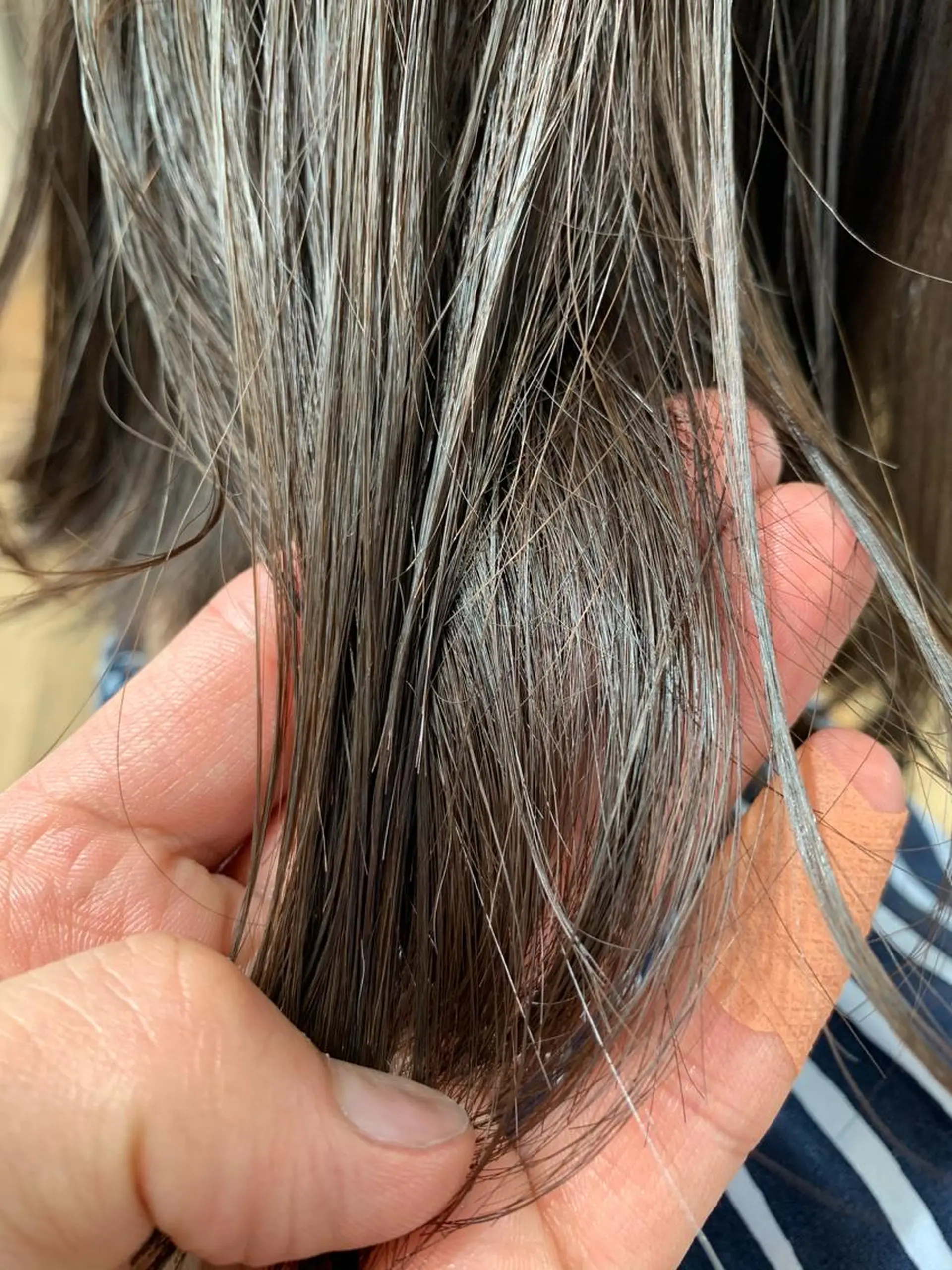 カラー 四ッ井 翔のヘアスタイル