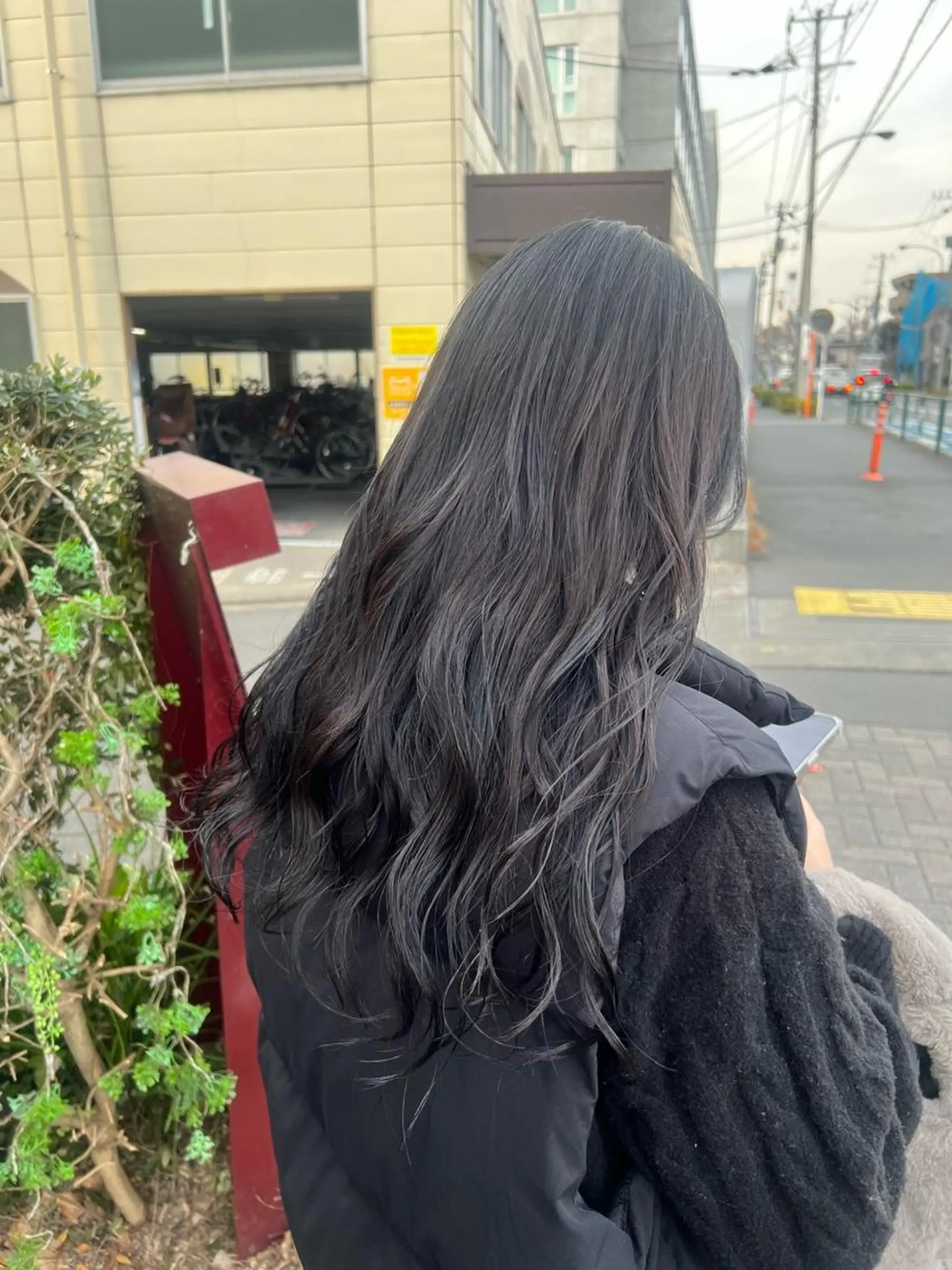 ロング カラー 黒髪 透明感カラー グレージュ かわの ももな 💜ྀིのヘアスタイル