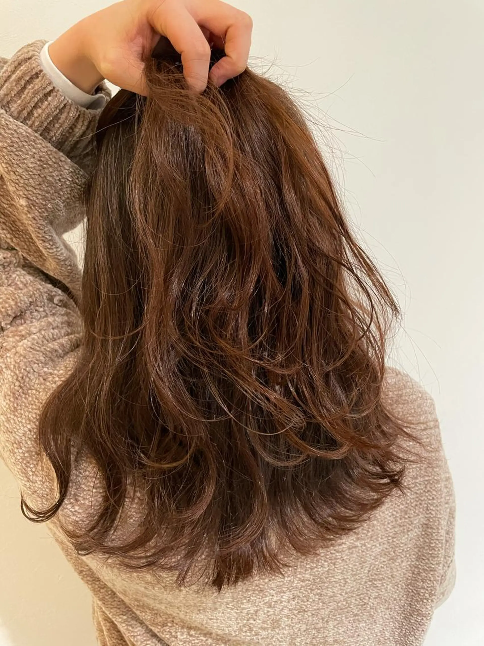 カラー 新谷 玲日のヘアスタイル