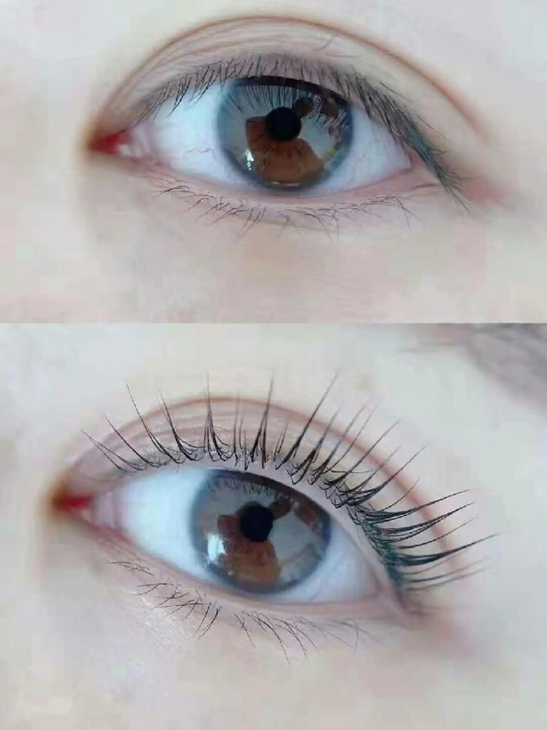 マツエク・マツパ まつげパーマ 胡蝶蘭レディースサロン所属・胡蝶蘭レディースサロ ン眉マツパエクステの眉毛・アイブロウイメージ