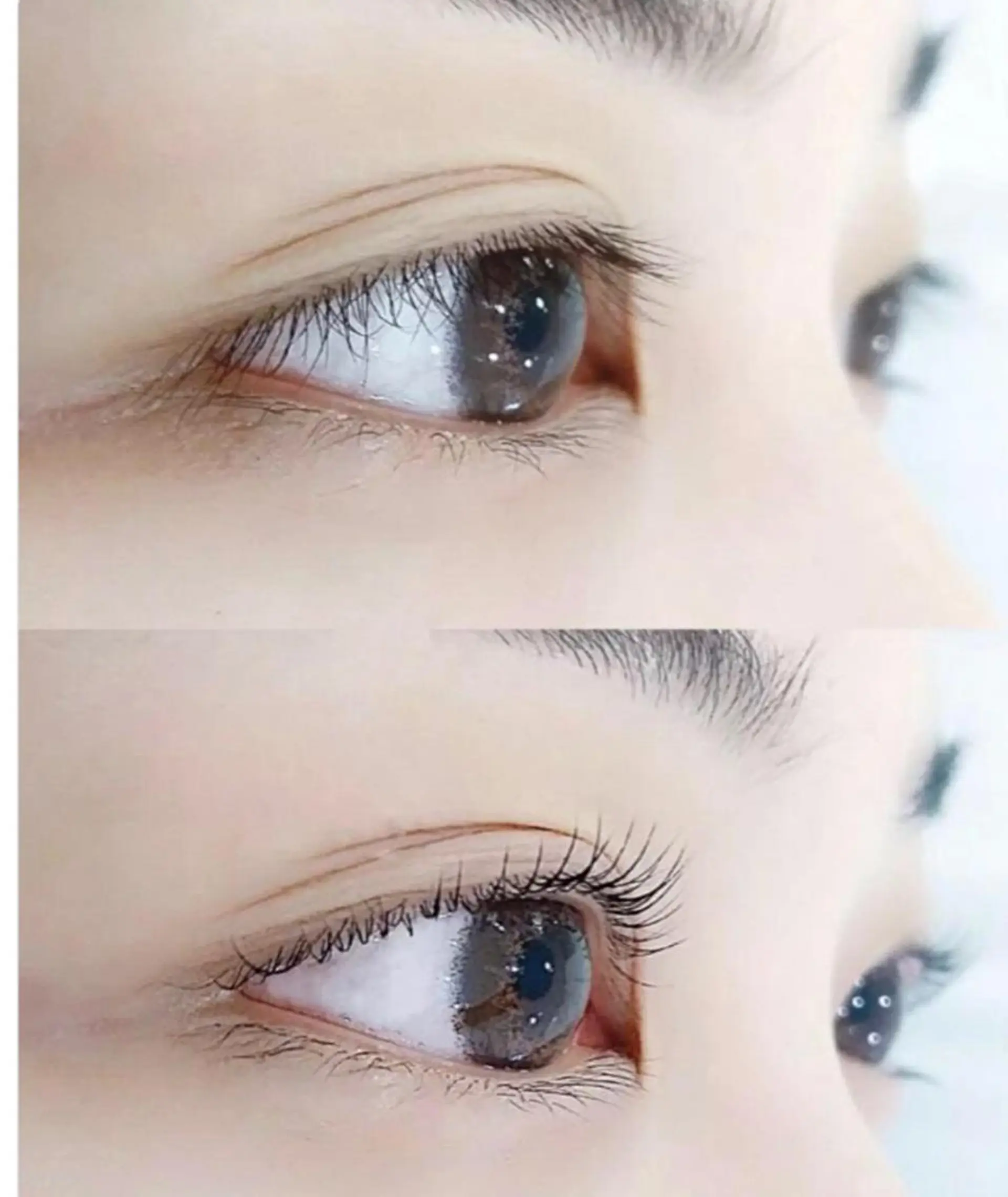 マツエク・マツパ 🌹ブリランテ🌹 大人気店のマツエク・マツパデザイン