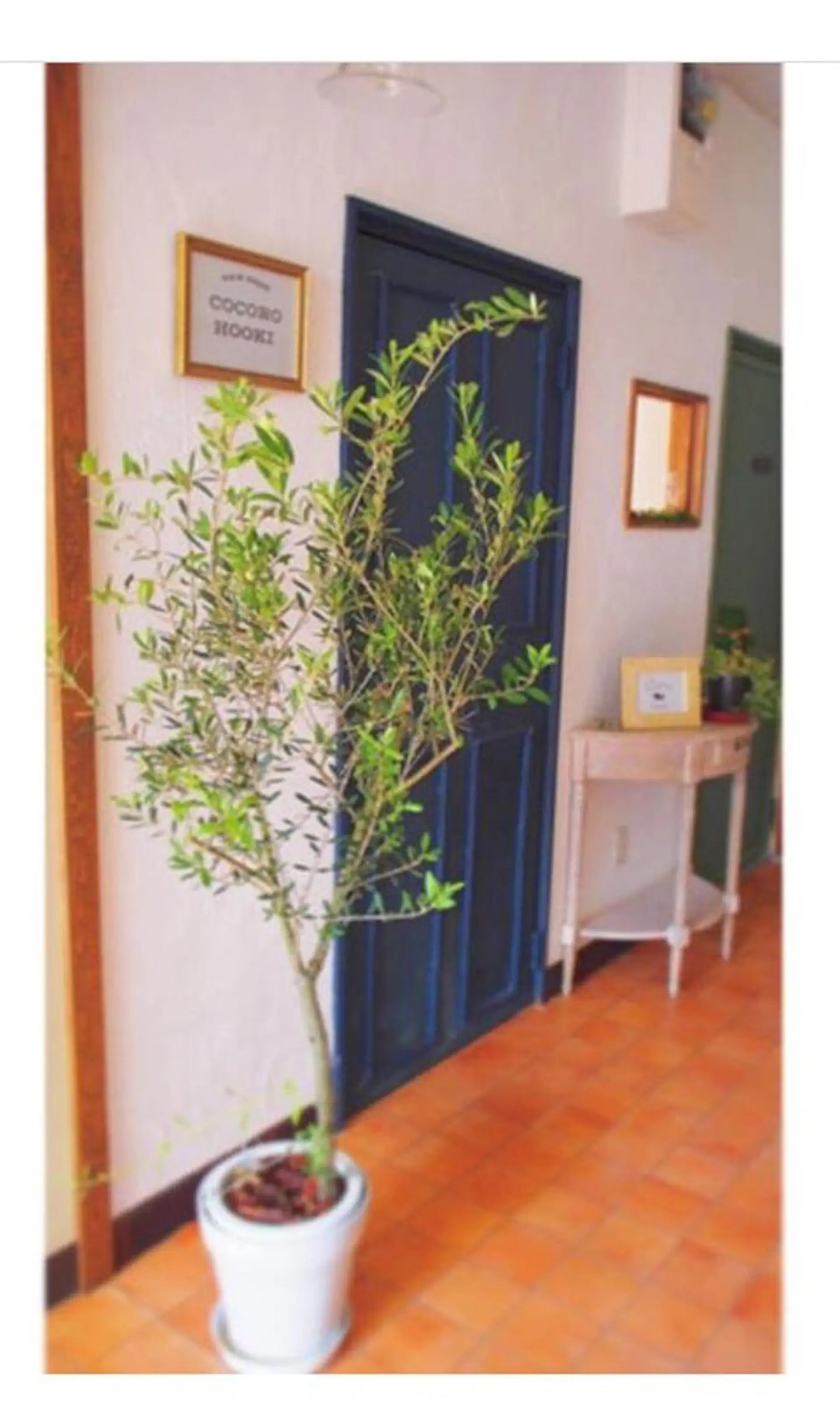 COCOROHOOKI所属・松田 由貴のヘアスタイル