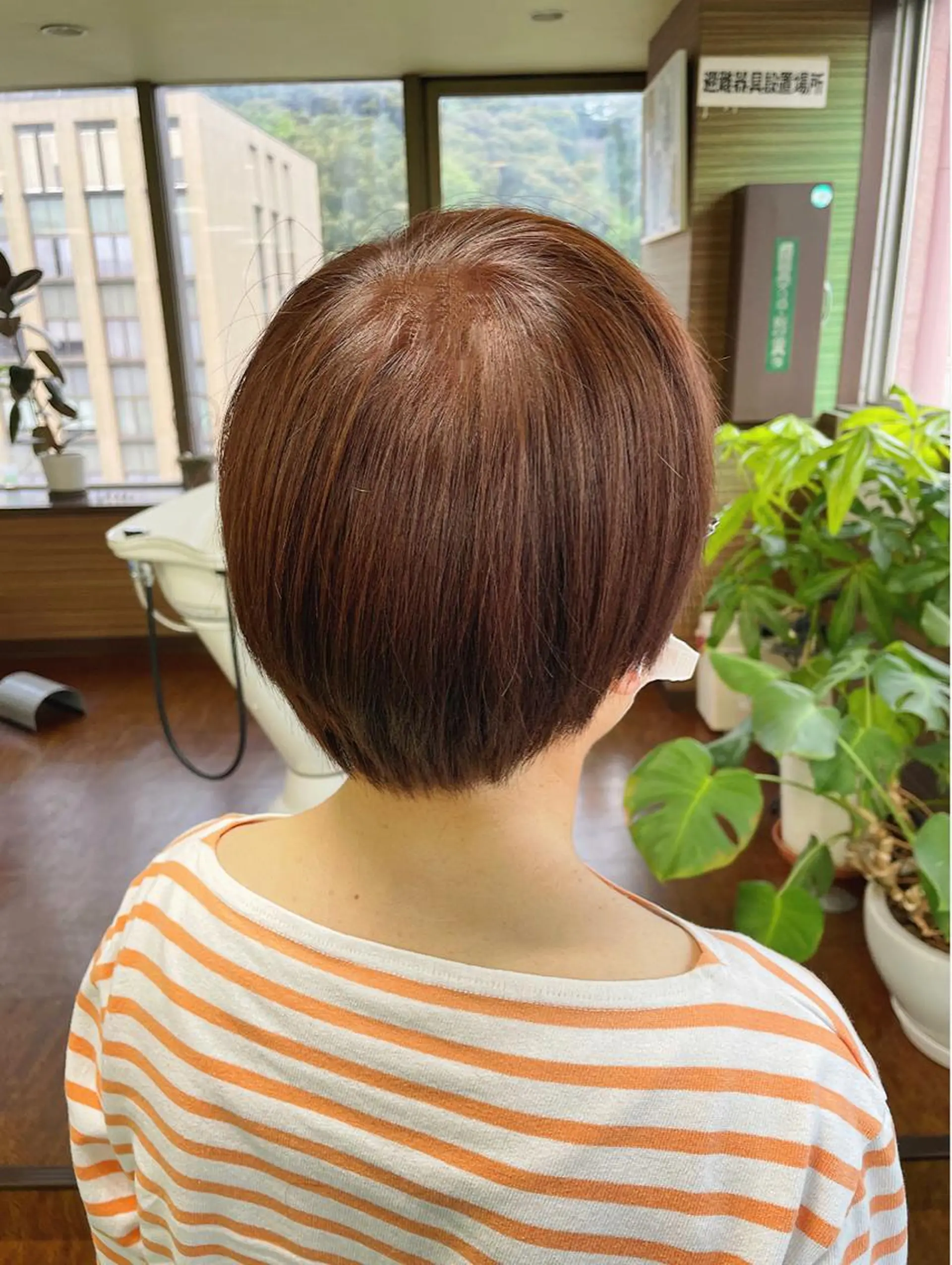 ショート カラー ブラウンカラー オレンジ オレンジブラウン ショートヘア カット ヘアカラー 土居 正季のヘアスタイル