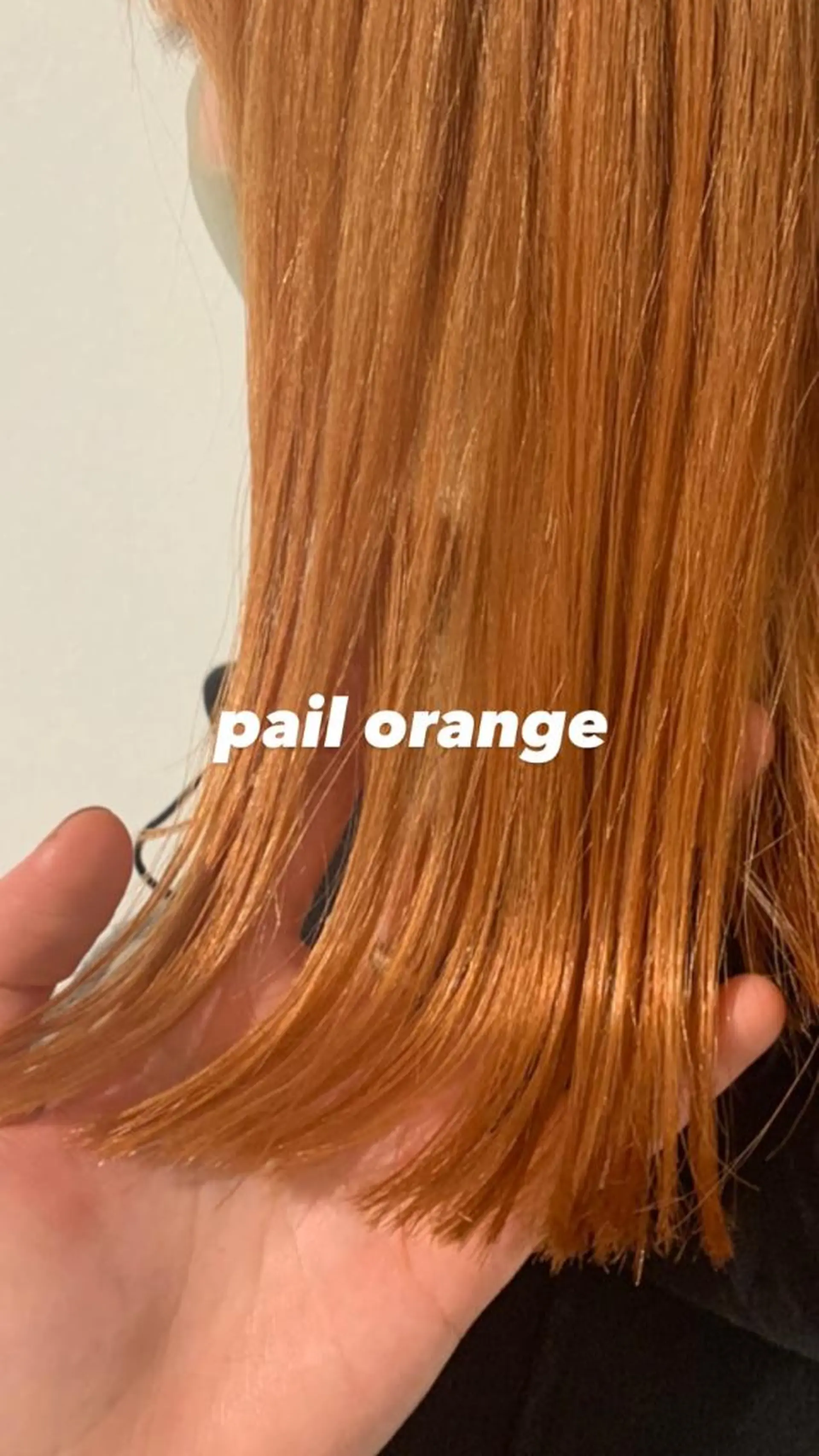 ミディアム カラー ダブルカラー オレンジ ANY／SUE 千葉パーマのヘアスタイル