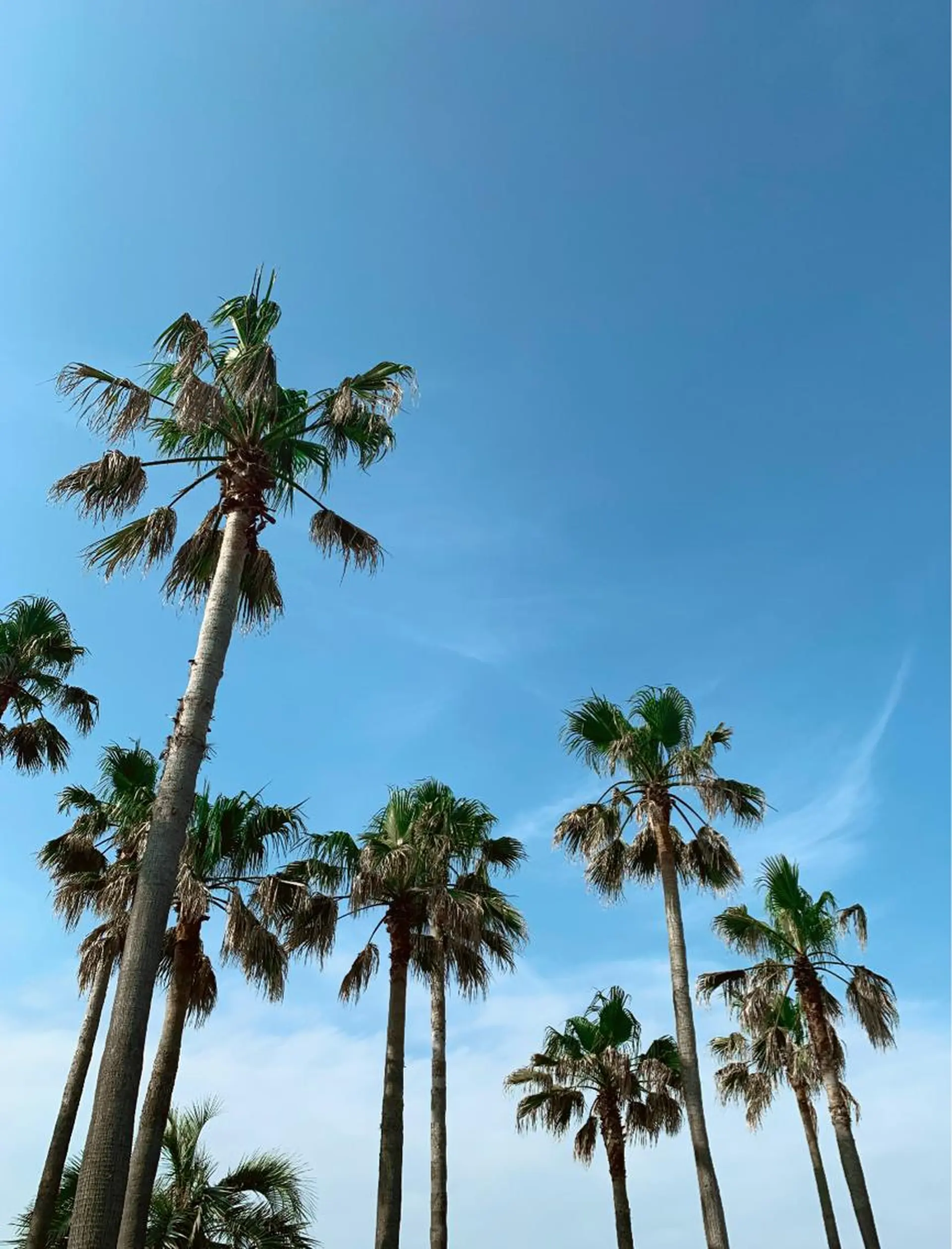 𝐘𝐎𝐒𝐇𝐈 𝐌𝐈🌞🏝のマツエク・マツパデザイン