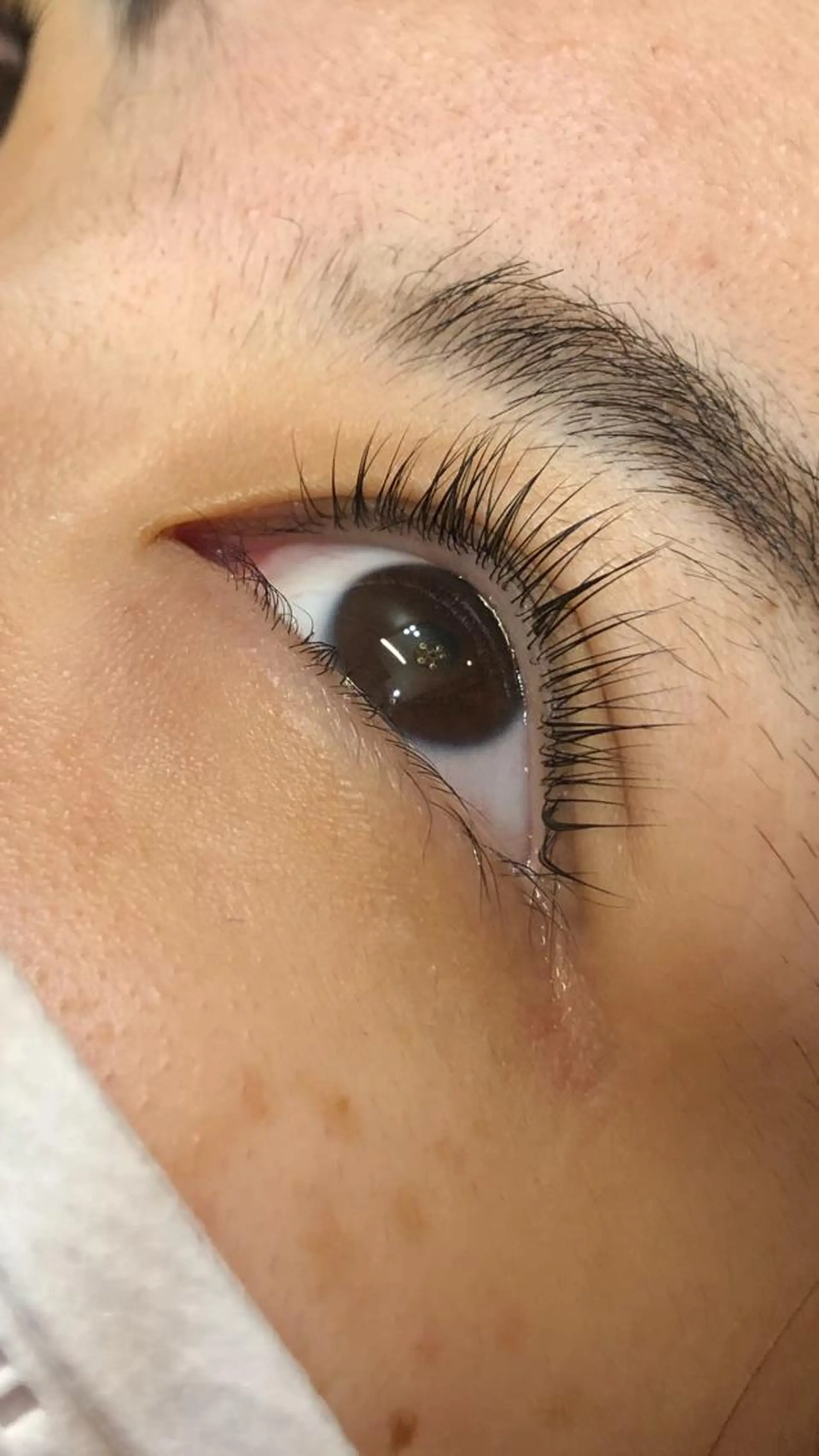 マツエク・マツパ パリジェンヌラッシュリフト tissue ティッシュのマツエク・マツパデザイン