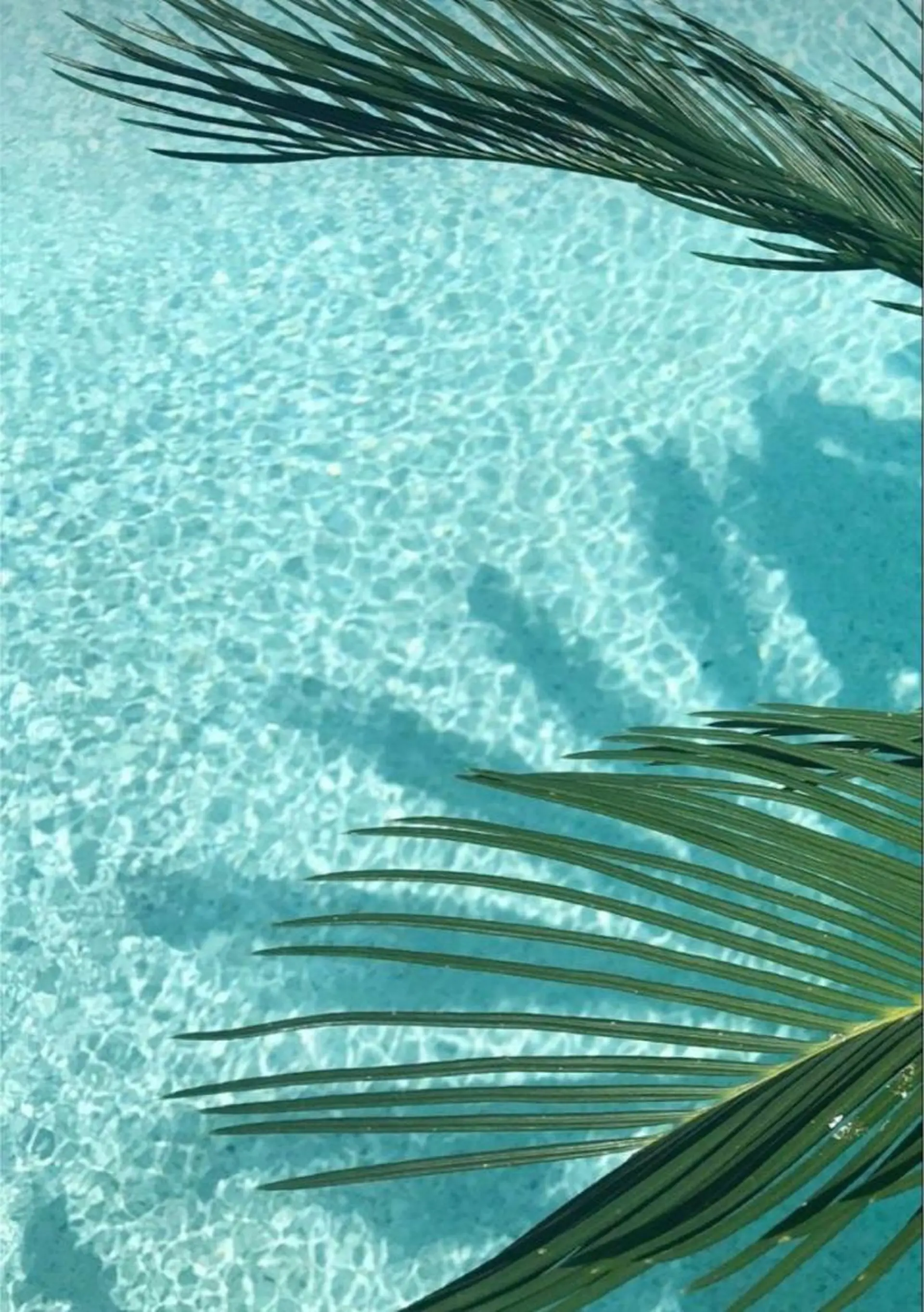 Bless hair &spa所属・🫧縮毛矯正／カラー ／bless松浦🫧のヘアスタイル