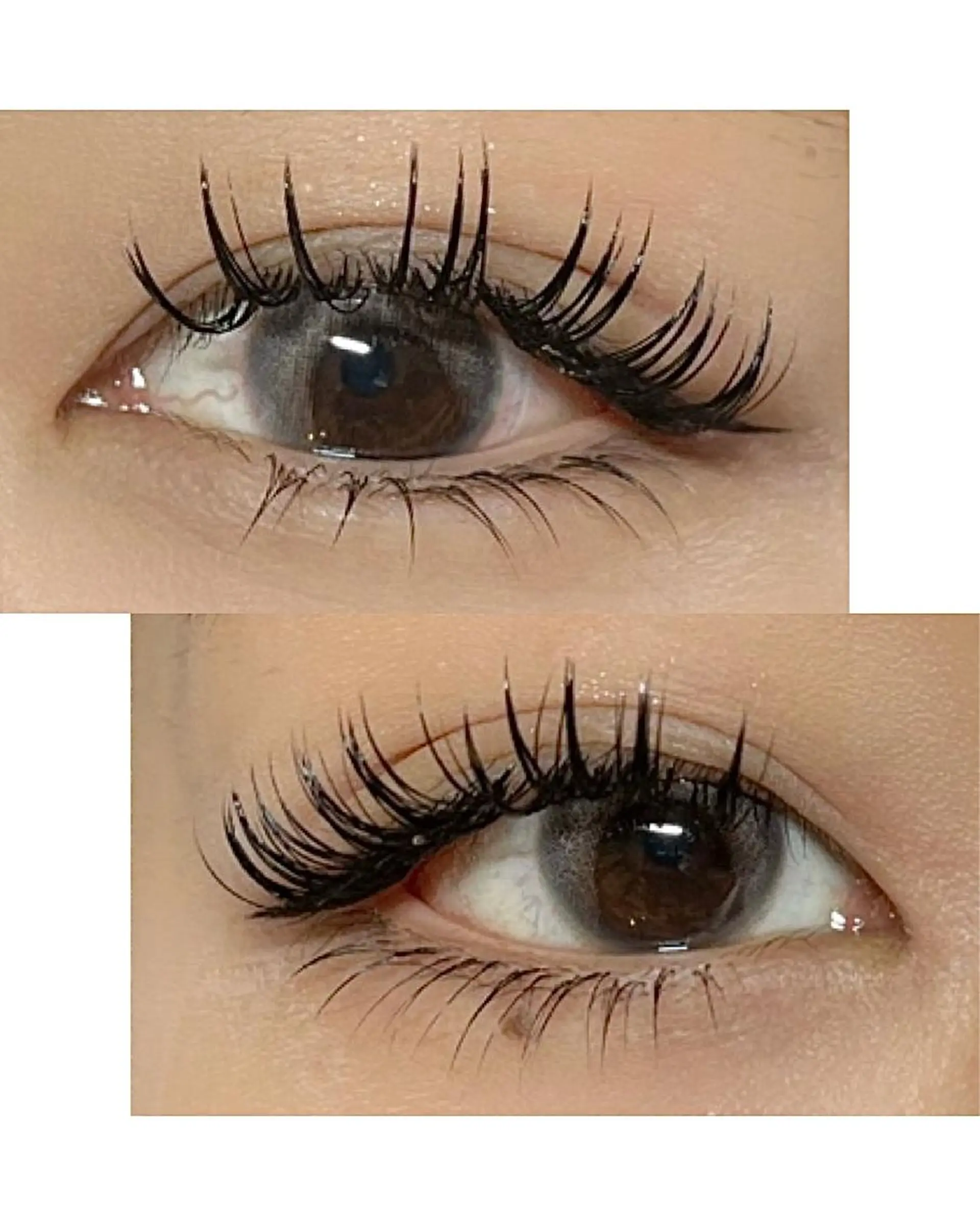 ãããšã¯ã»ããã ððŠð® .ã®ãããšã¯ã»ããããã¶ã€ã³