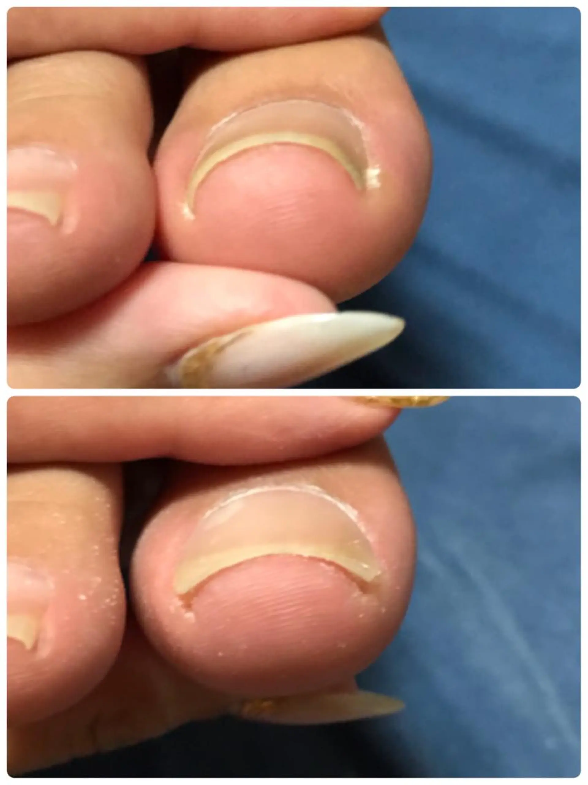 ネイル Nail salon Dahliaのネイルデザイン