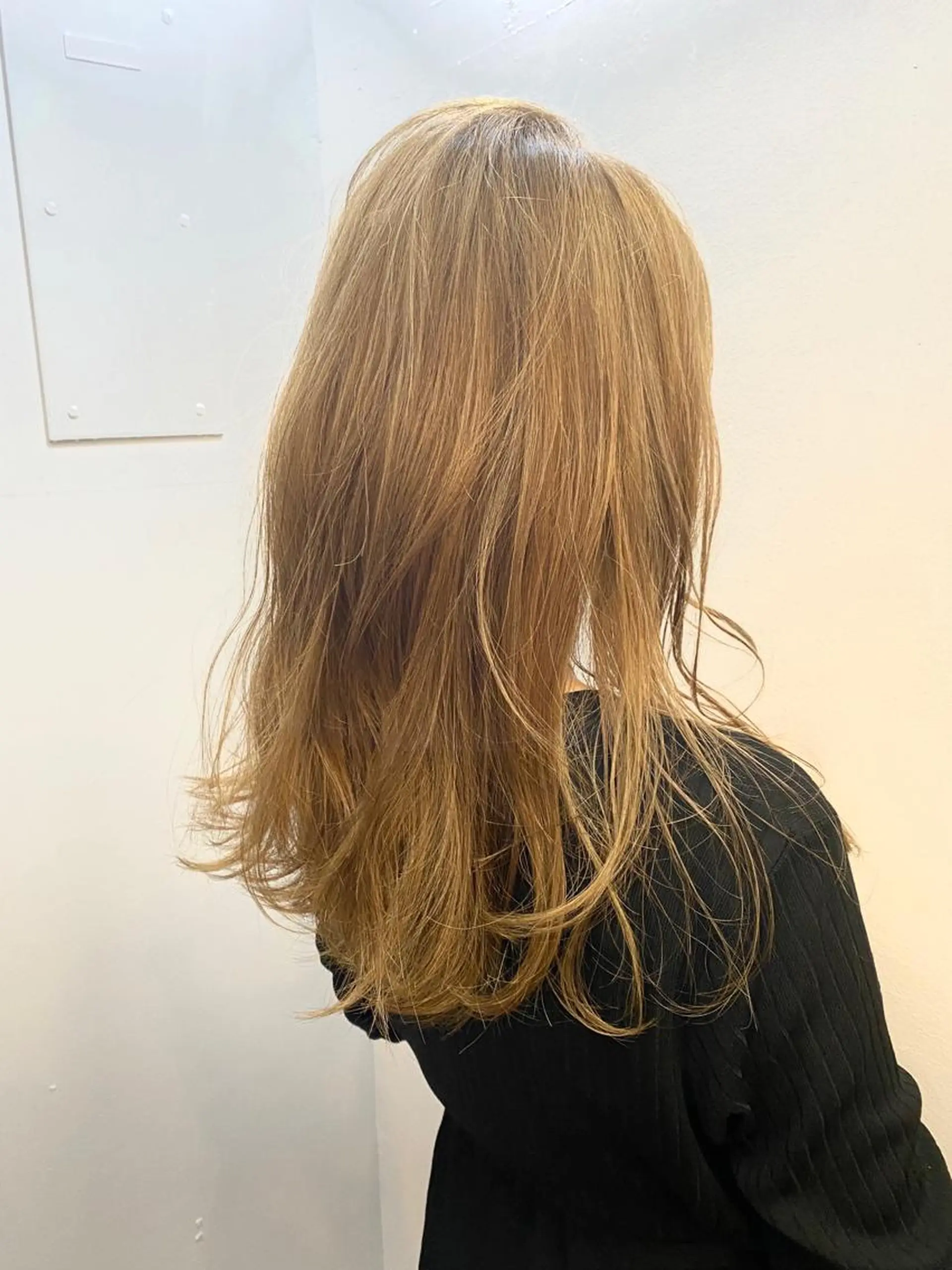 ロング カラー 艶髪カラー&ウルフ フルカワ ヒロズミのヘアスタイル