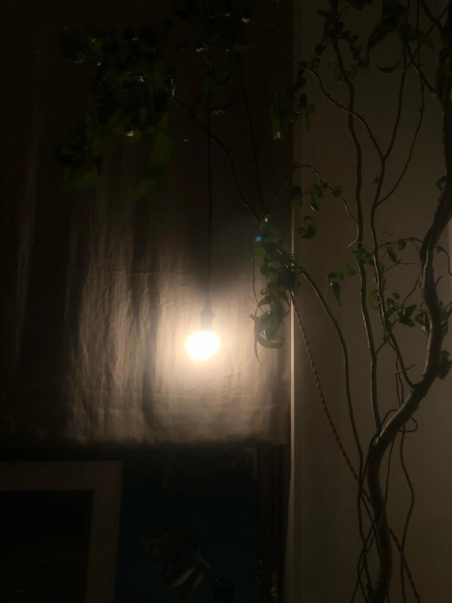 basico  のエステ・リラクイメージ