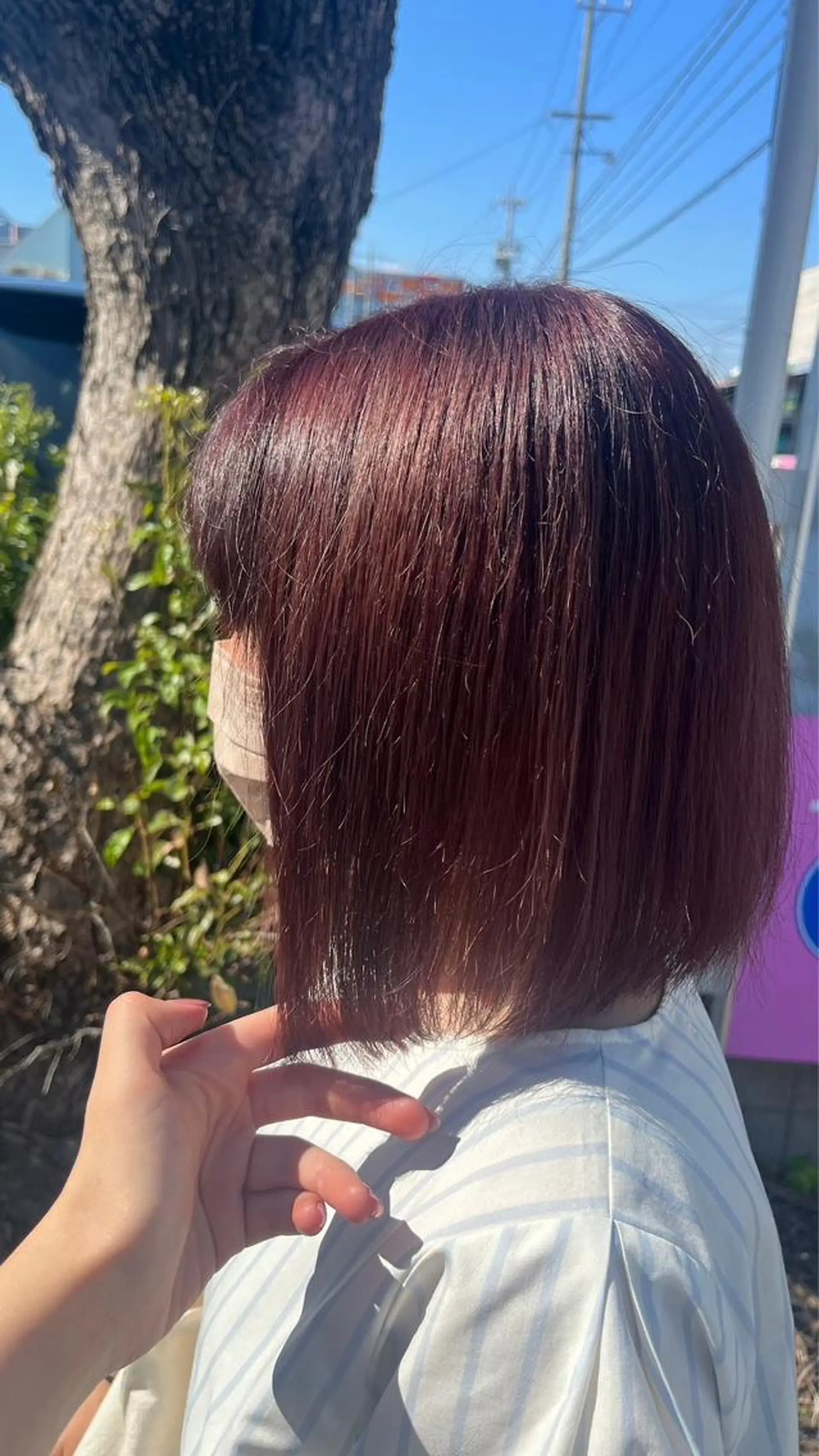 カラー バレイヤージュ ブリーチ ケアブリーチ 透明感カラー デザインカラー ミシェル /韓国ヘア🕊️のヘアスタイル