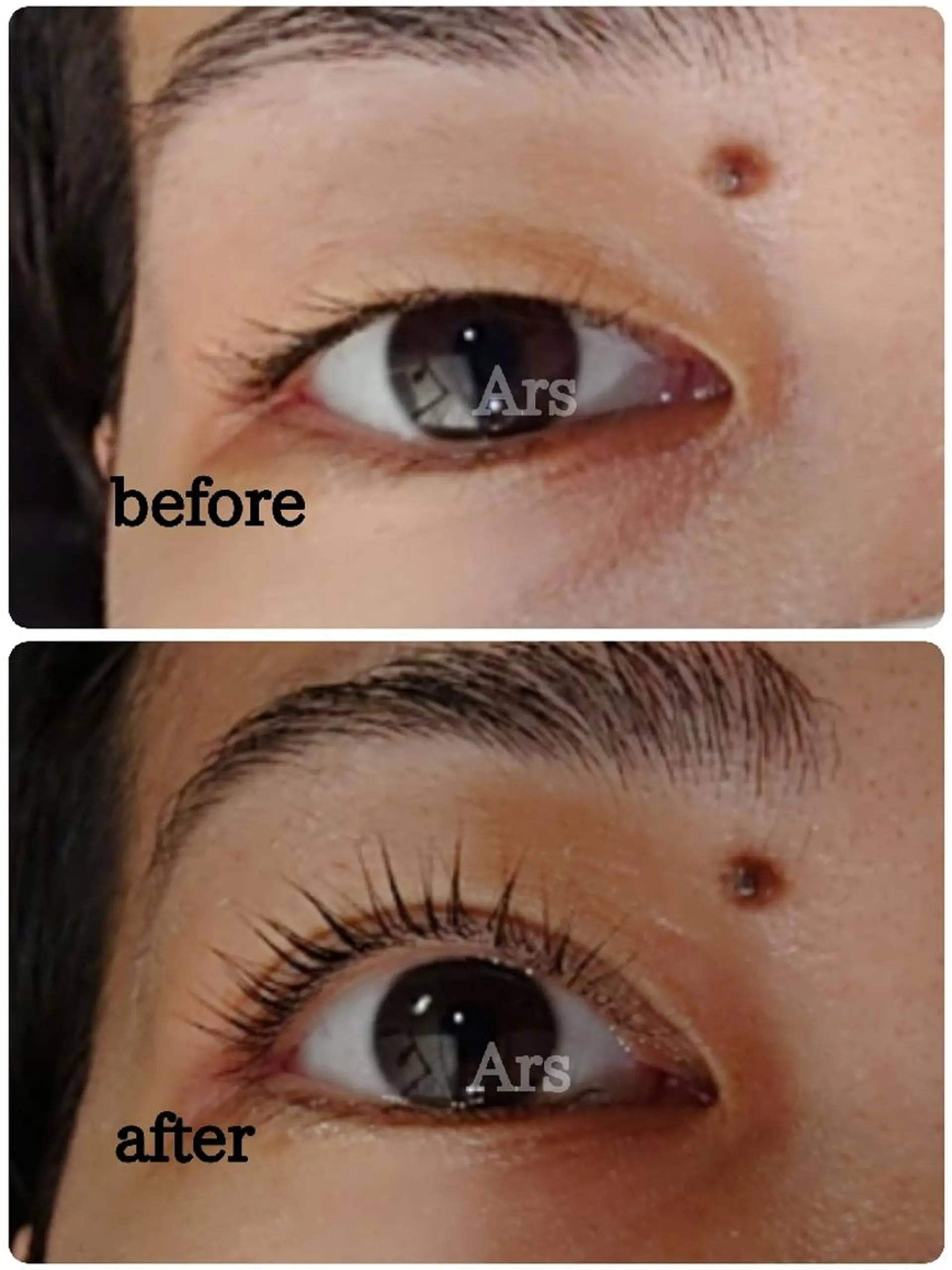 マツエク・マツパ アイリッドアップパーマ Ars  (ｱﾙｽ)所属・Ars      (ｱﾙｽ)のマツエク・マツパデザイン