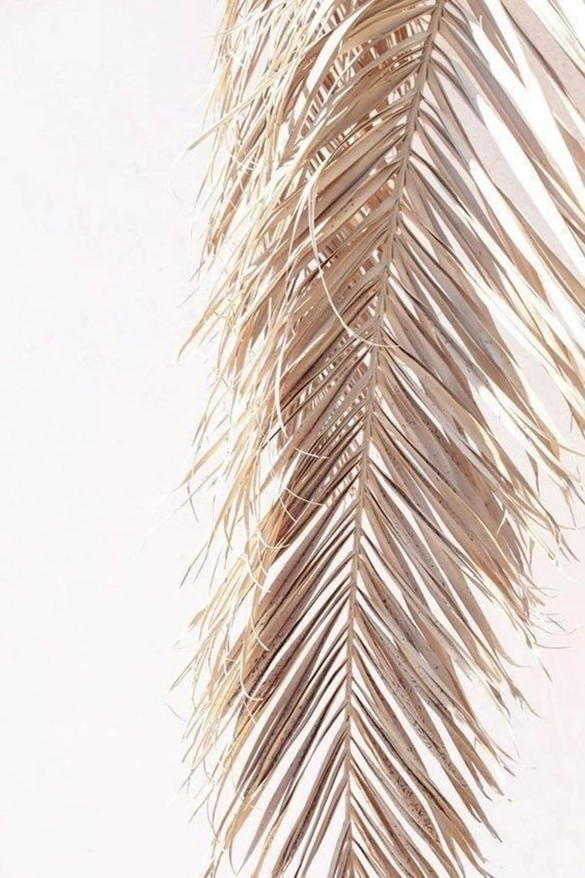 Saki 🍊 荻窪｜nailのネイルデザイン