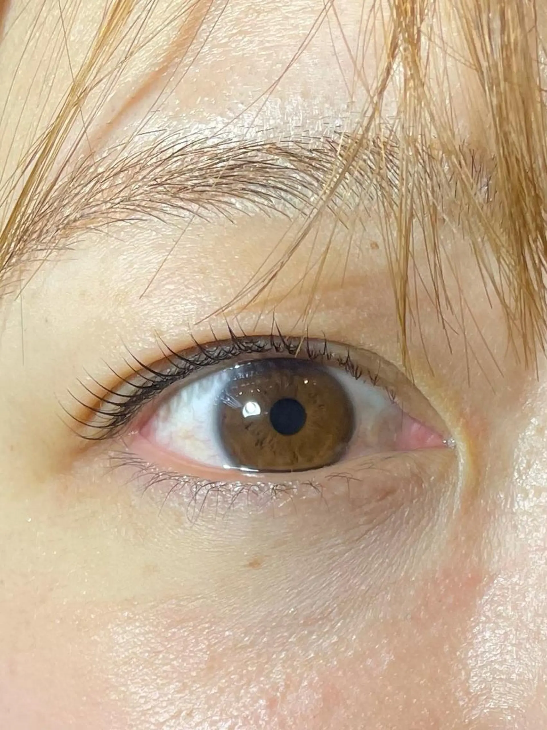 マツエク・マツパ マツパ petit bonheurのマツエク・マツパデザイン