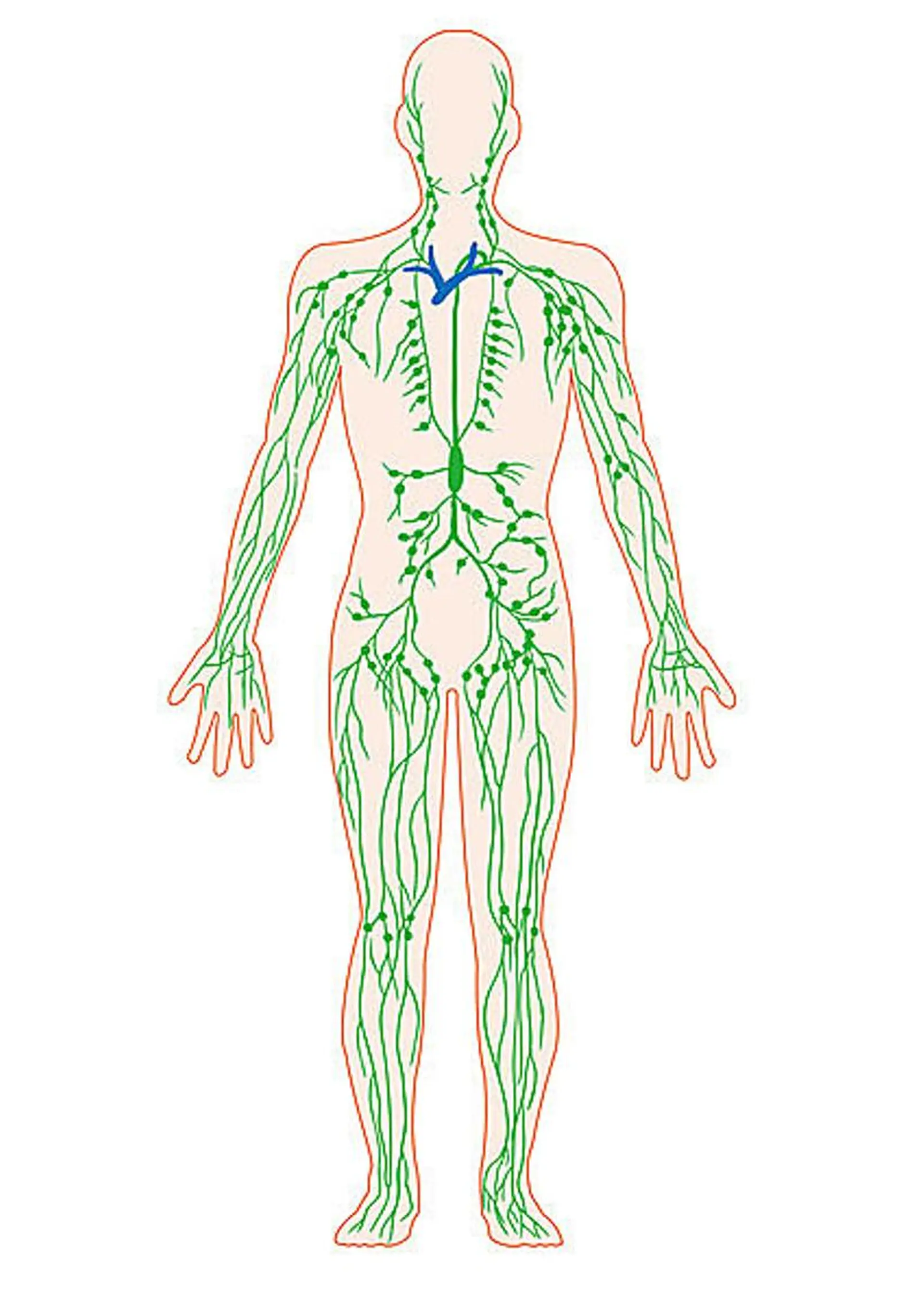 アロマ リラクゼーションサロン🌿オリーブ所属・オーナーセラピスト オリーブ🌿miuのエステ・リラクイメージ
