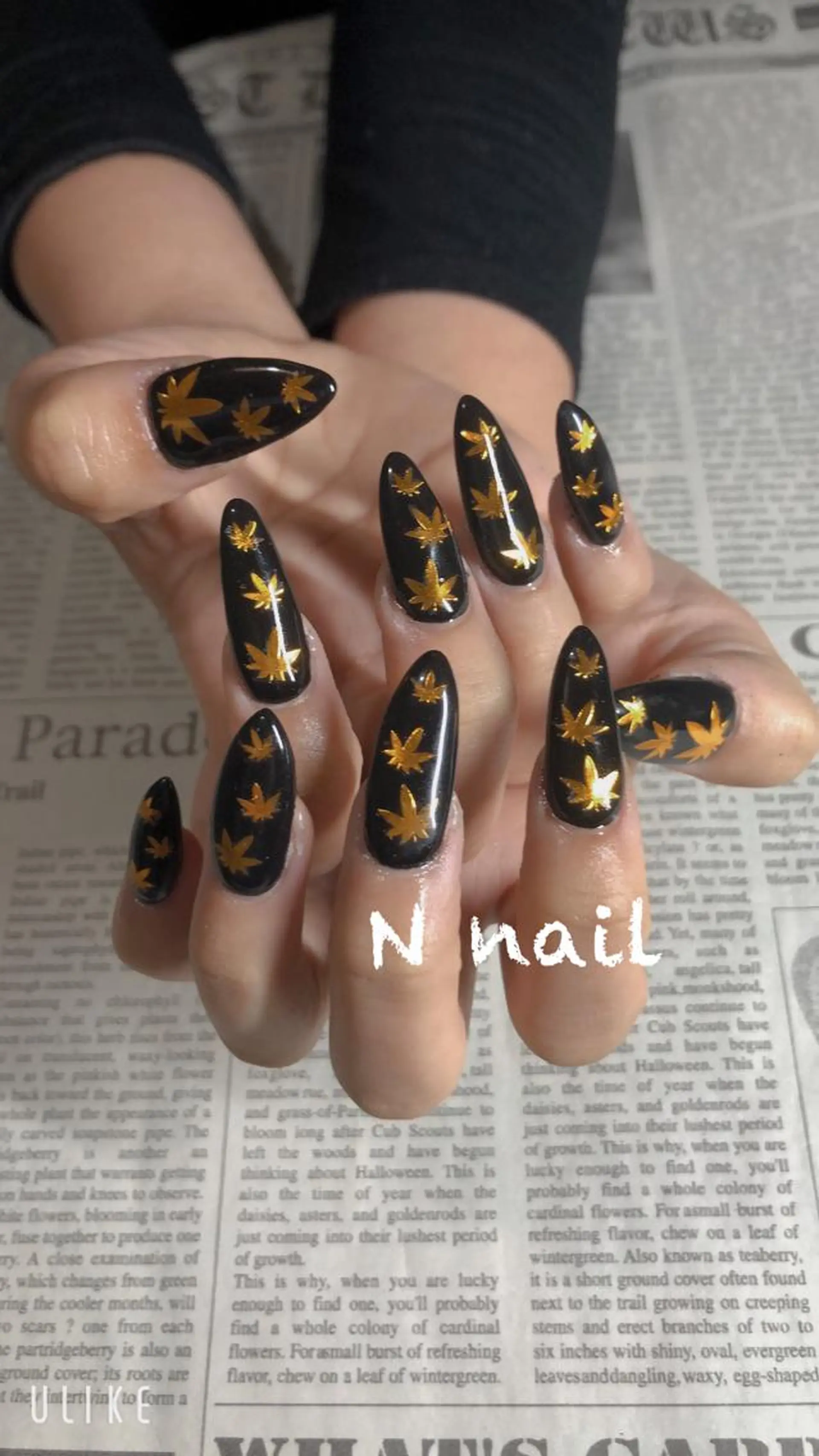 ネイル N nailのネイルデザイン