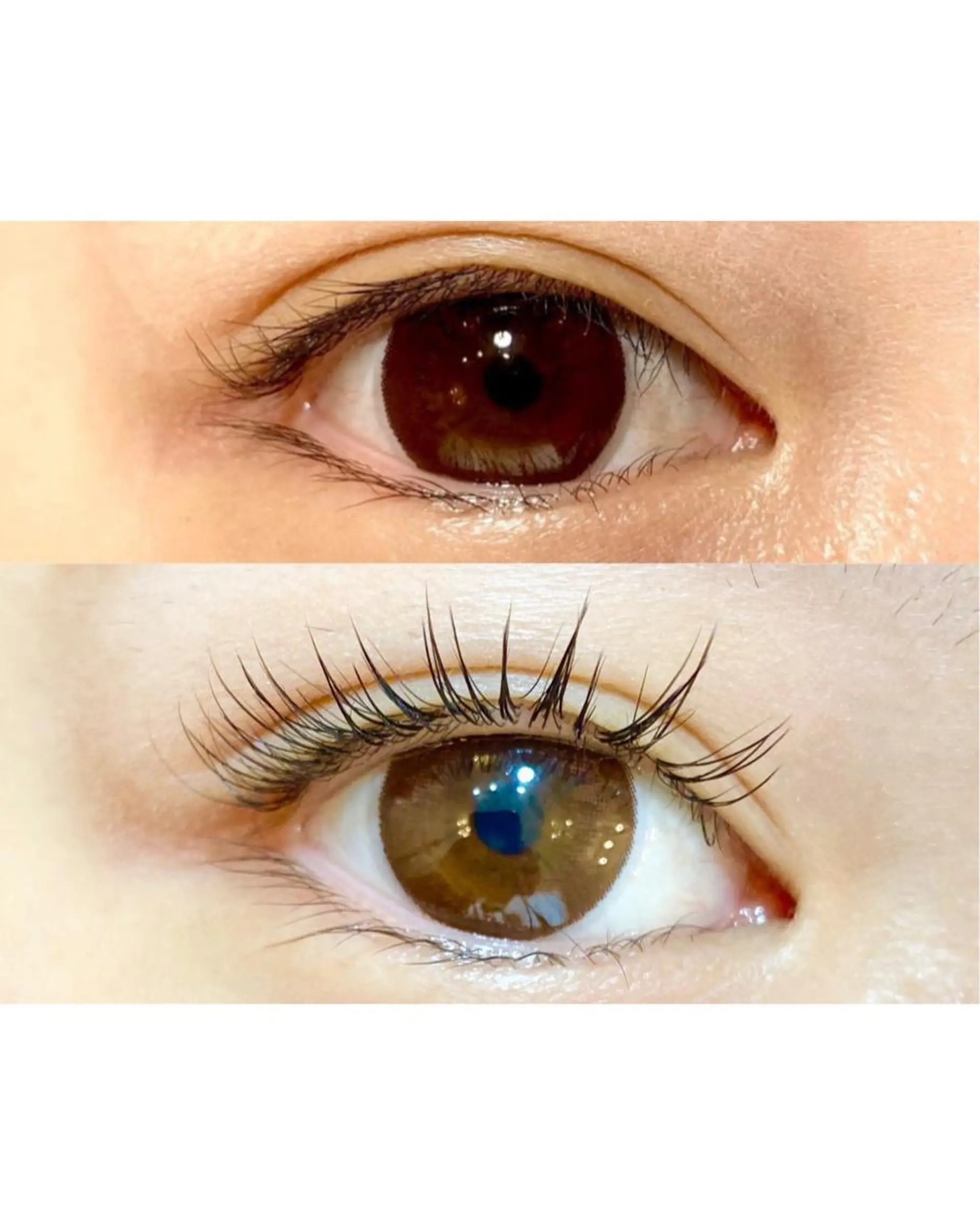 マツエク・マツパ étora eye渋谷のマツエク・マツパデザイン